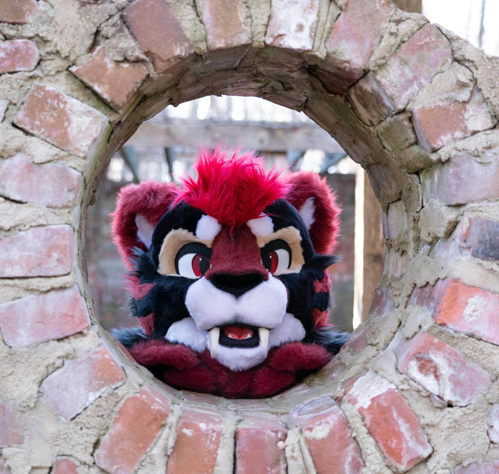 user avatar image for Ghimno