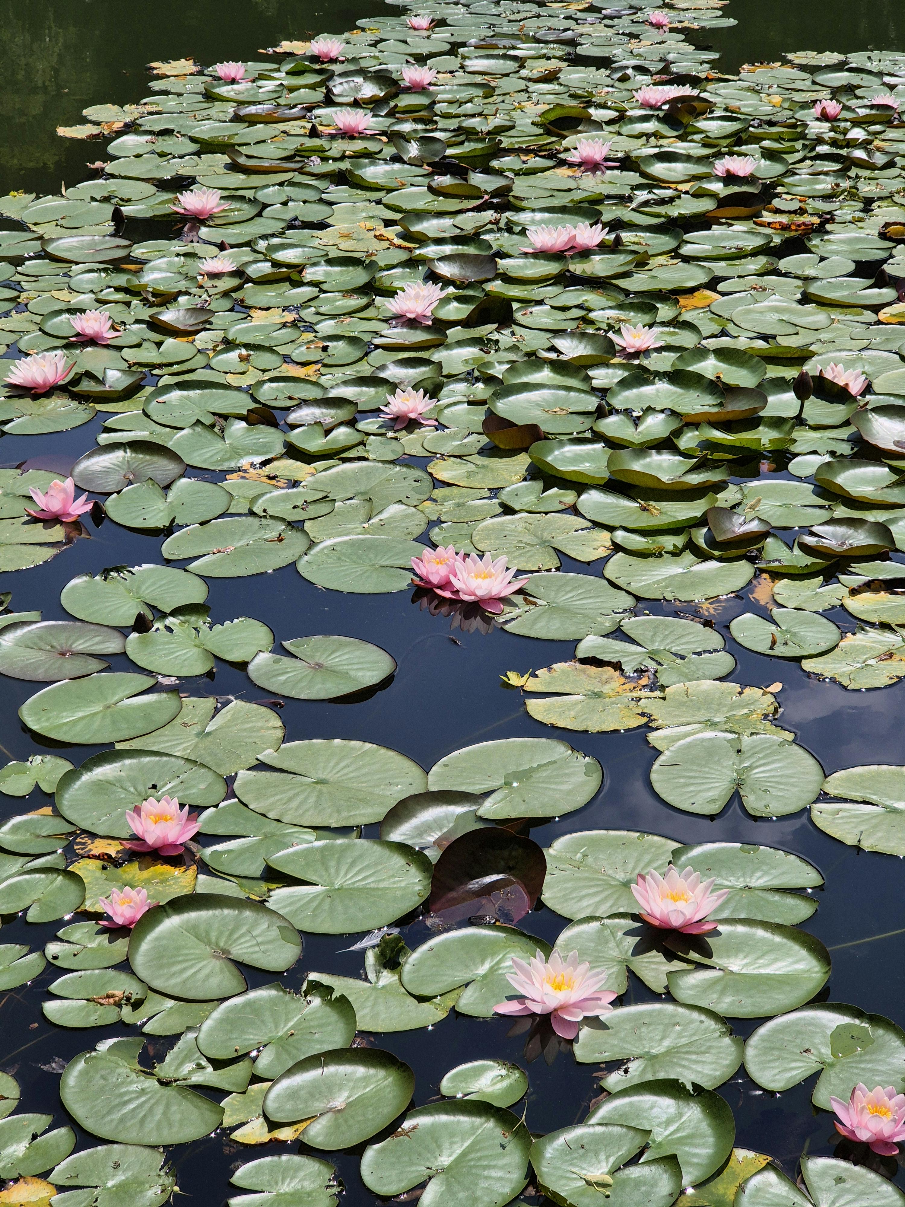 user avatar image for Maëlle