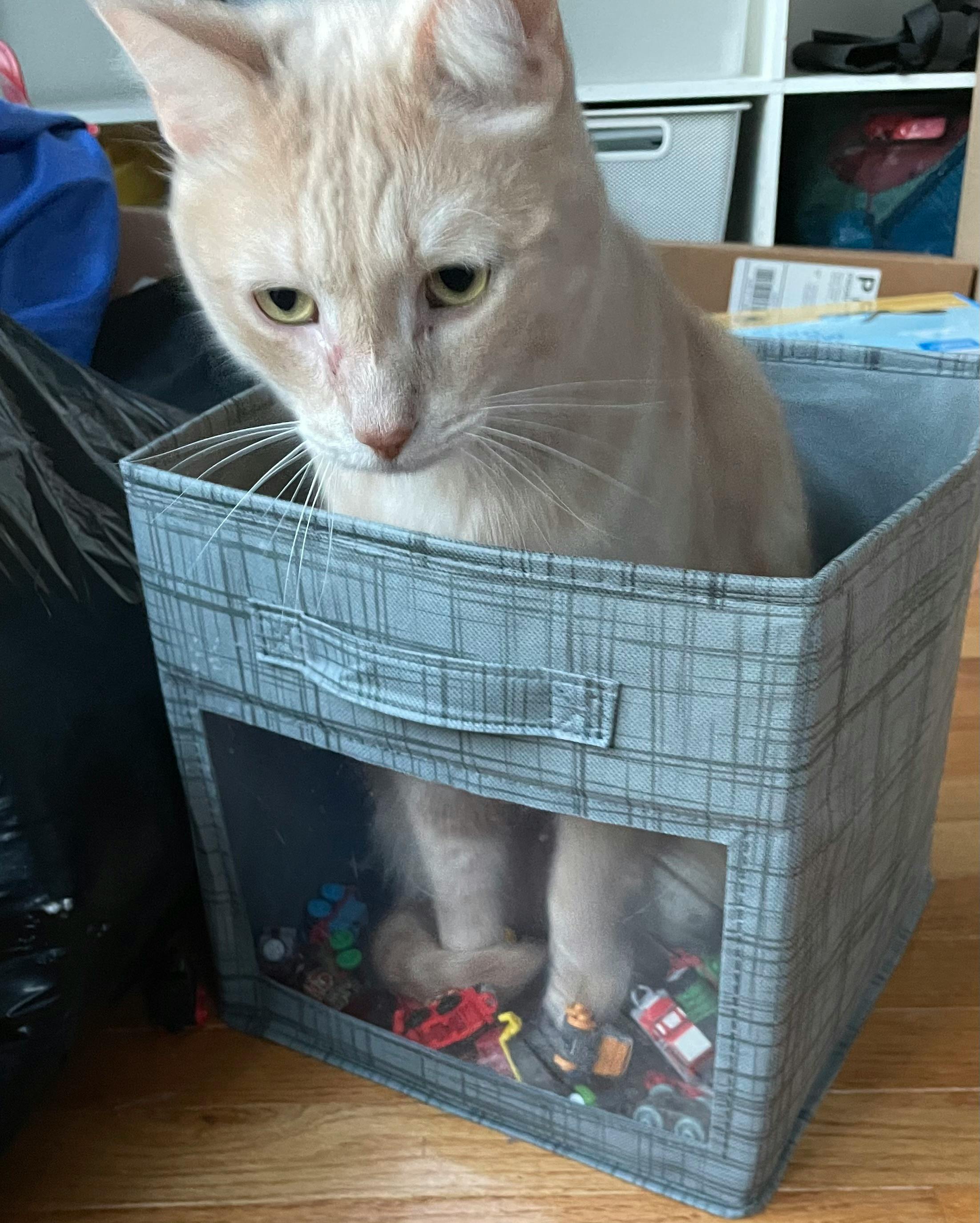 user avatar image for Laura