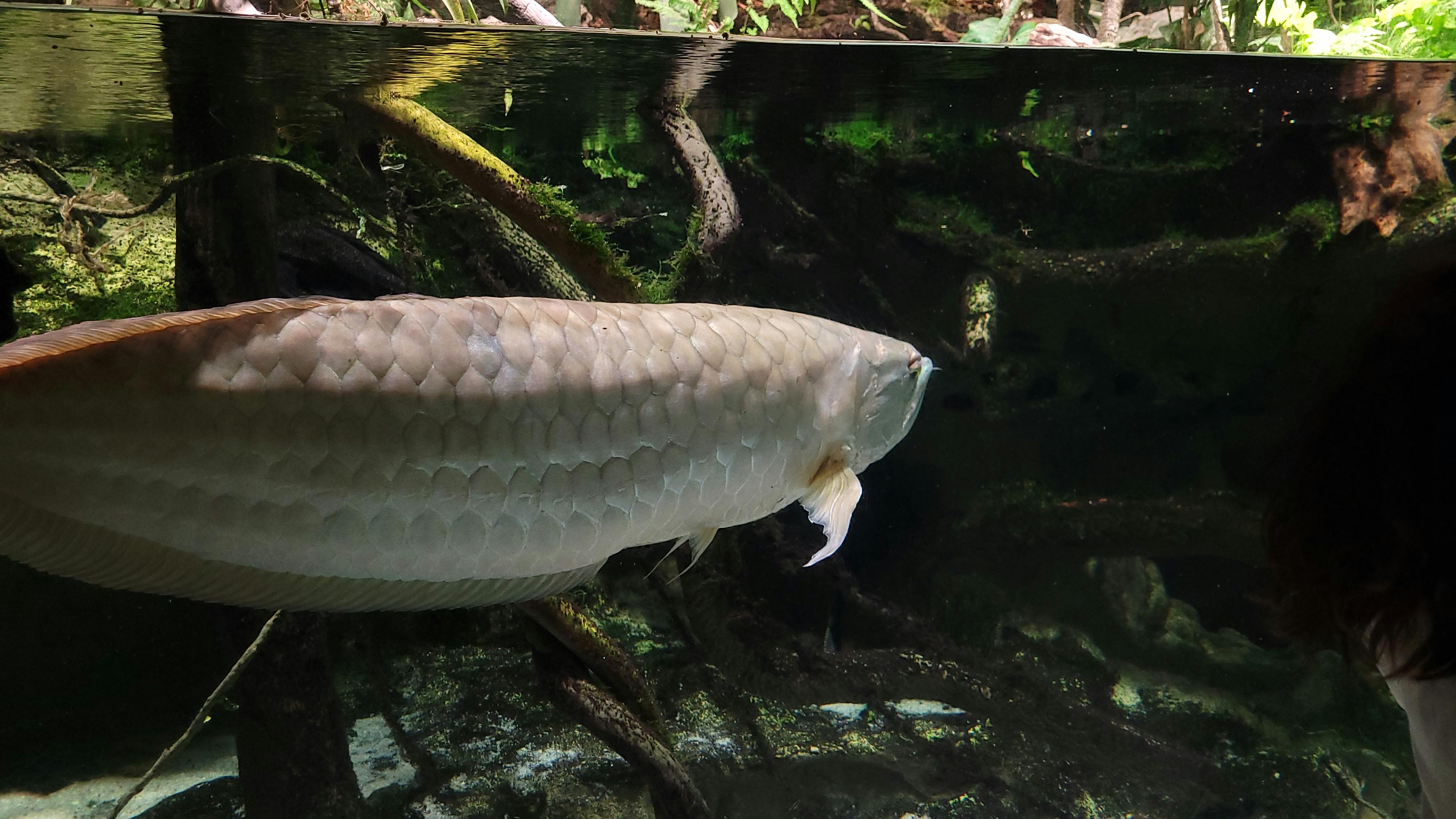 user avatar image for Chels