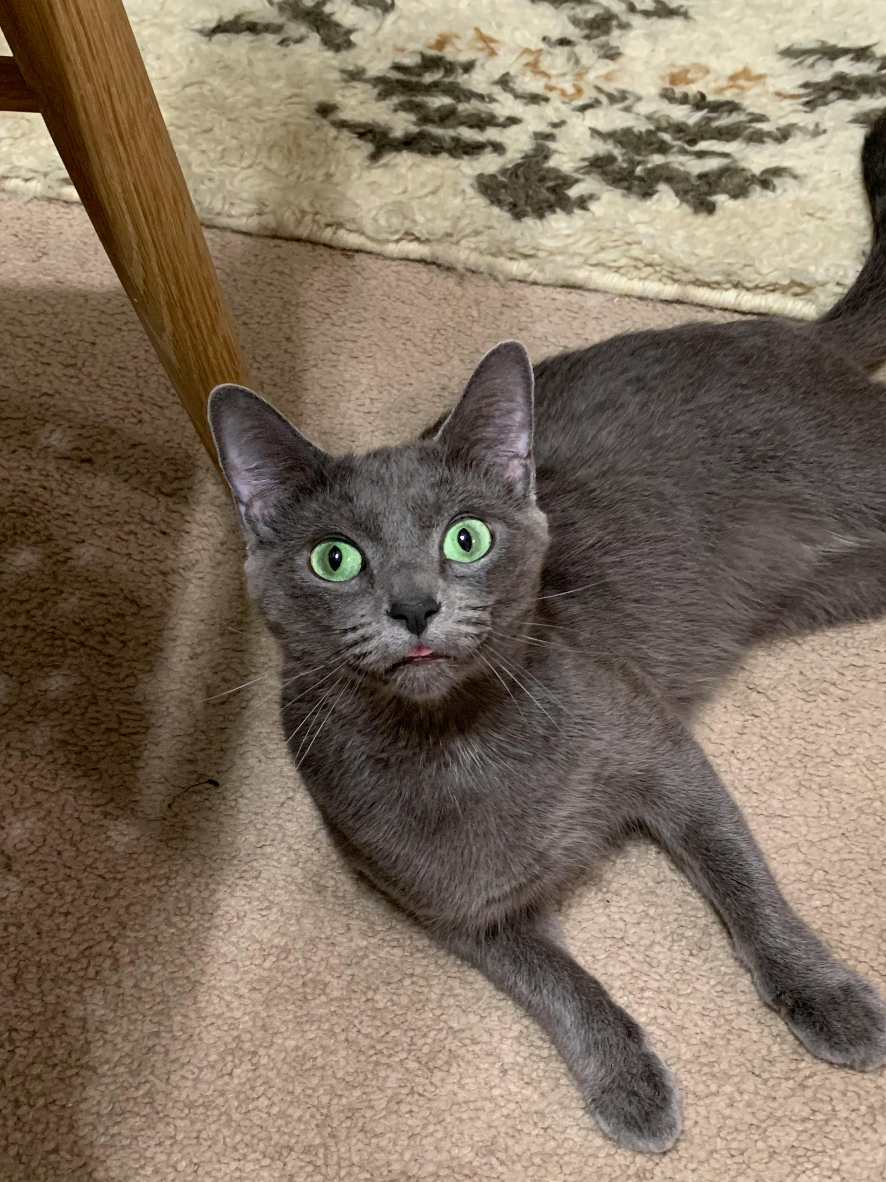 user avatar image for Charlie