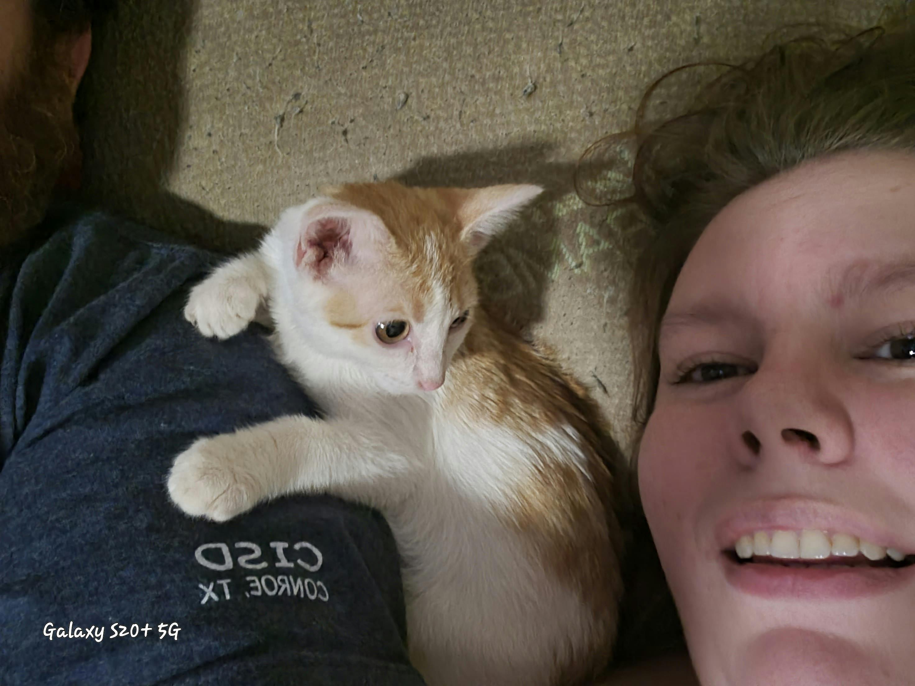 user avatar image for Sarah Luetzen