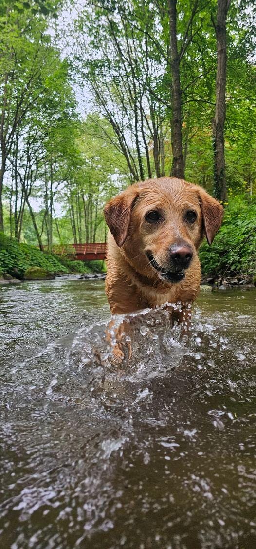 user avatar image for Emery