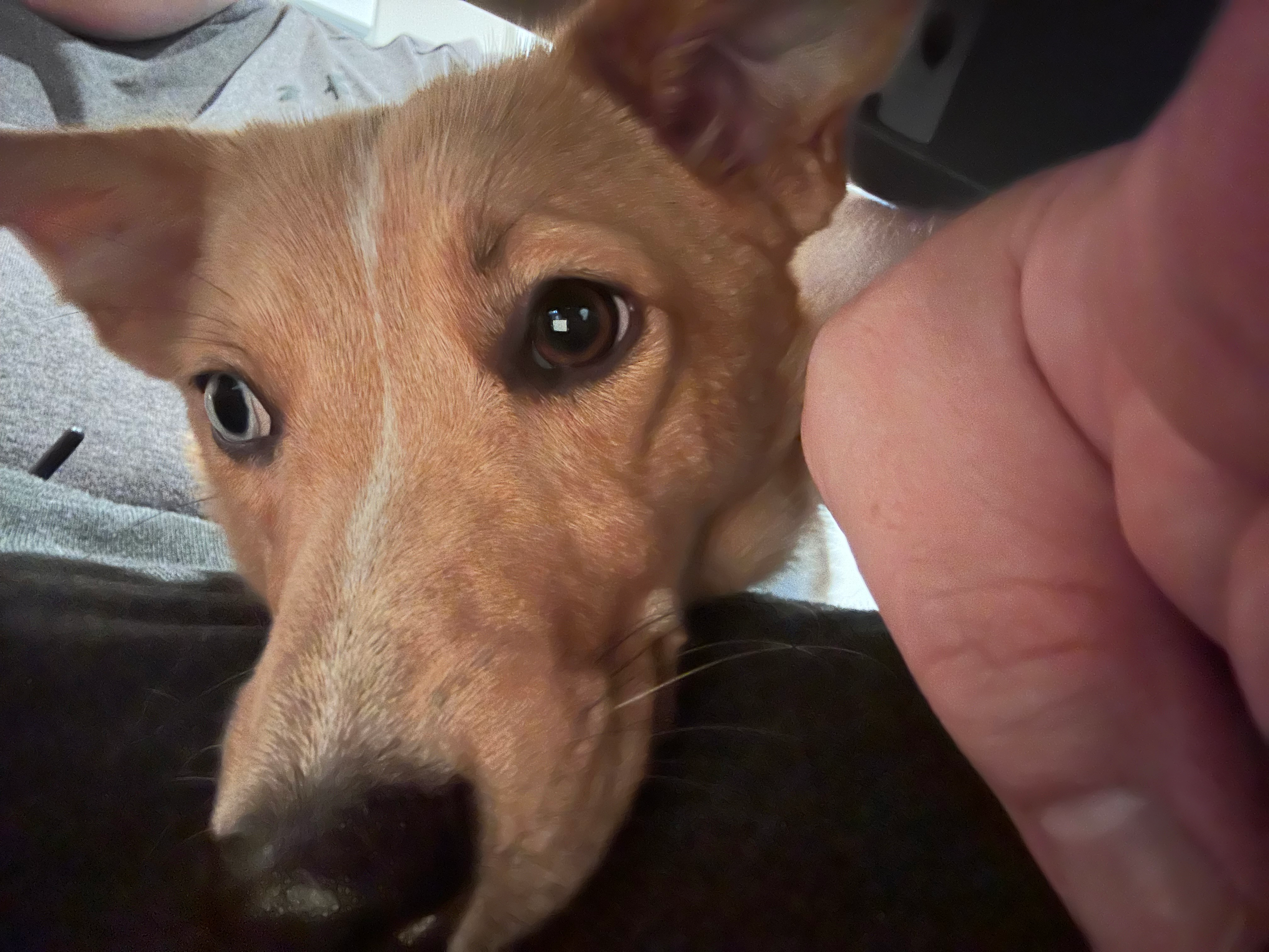 user avatar image for dustin winkler