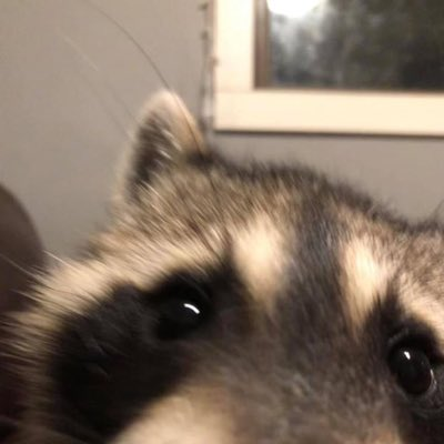 user avatar image for sparklez