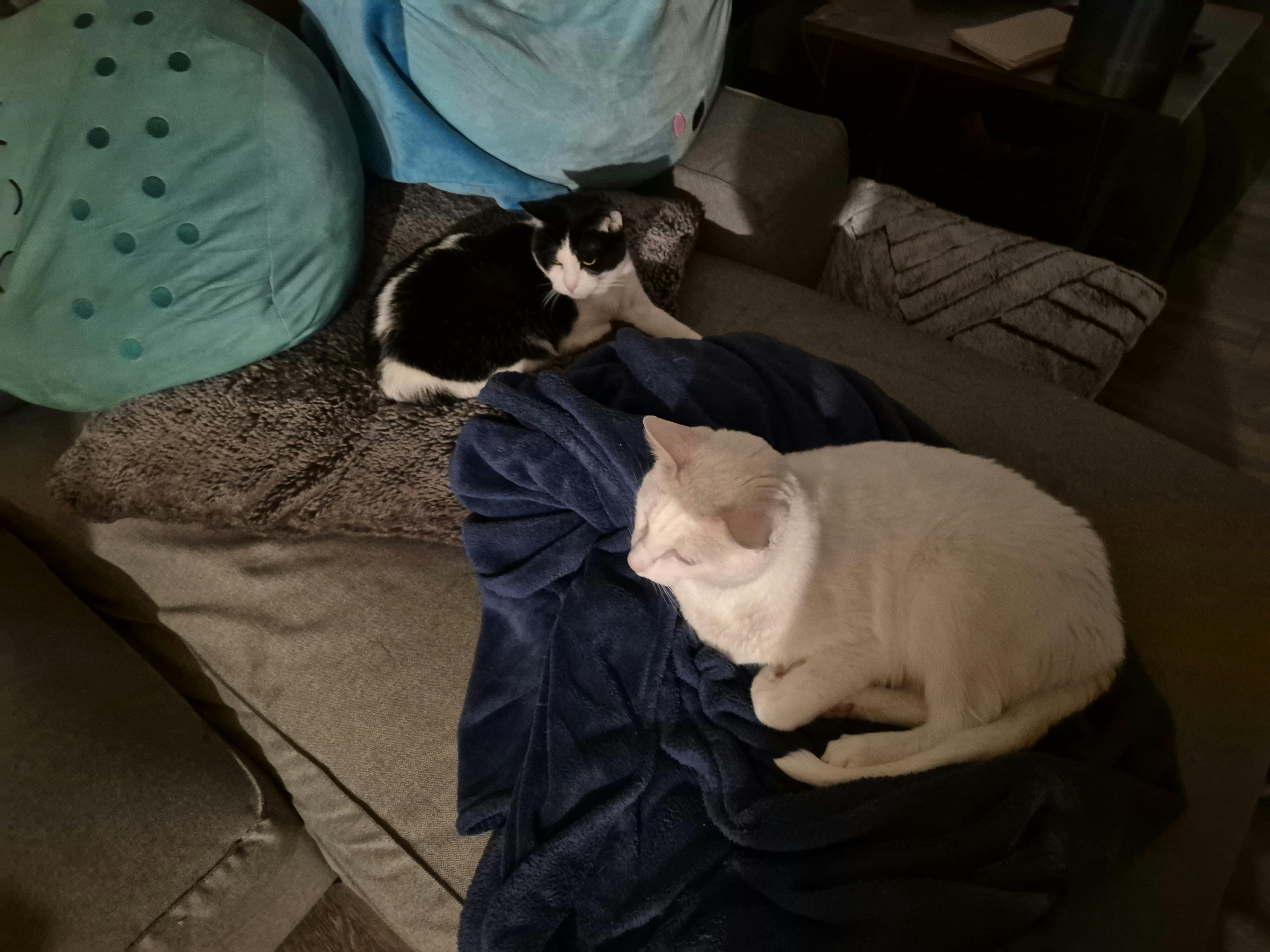 user avatar image for Venecia Villanueva Smith