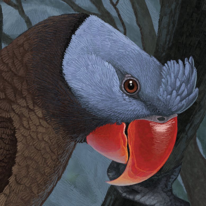 user avatar image for maggock