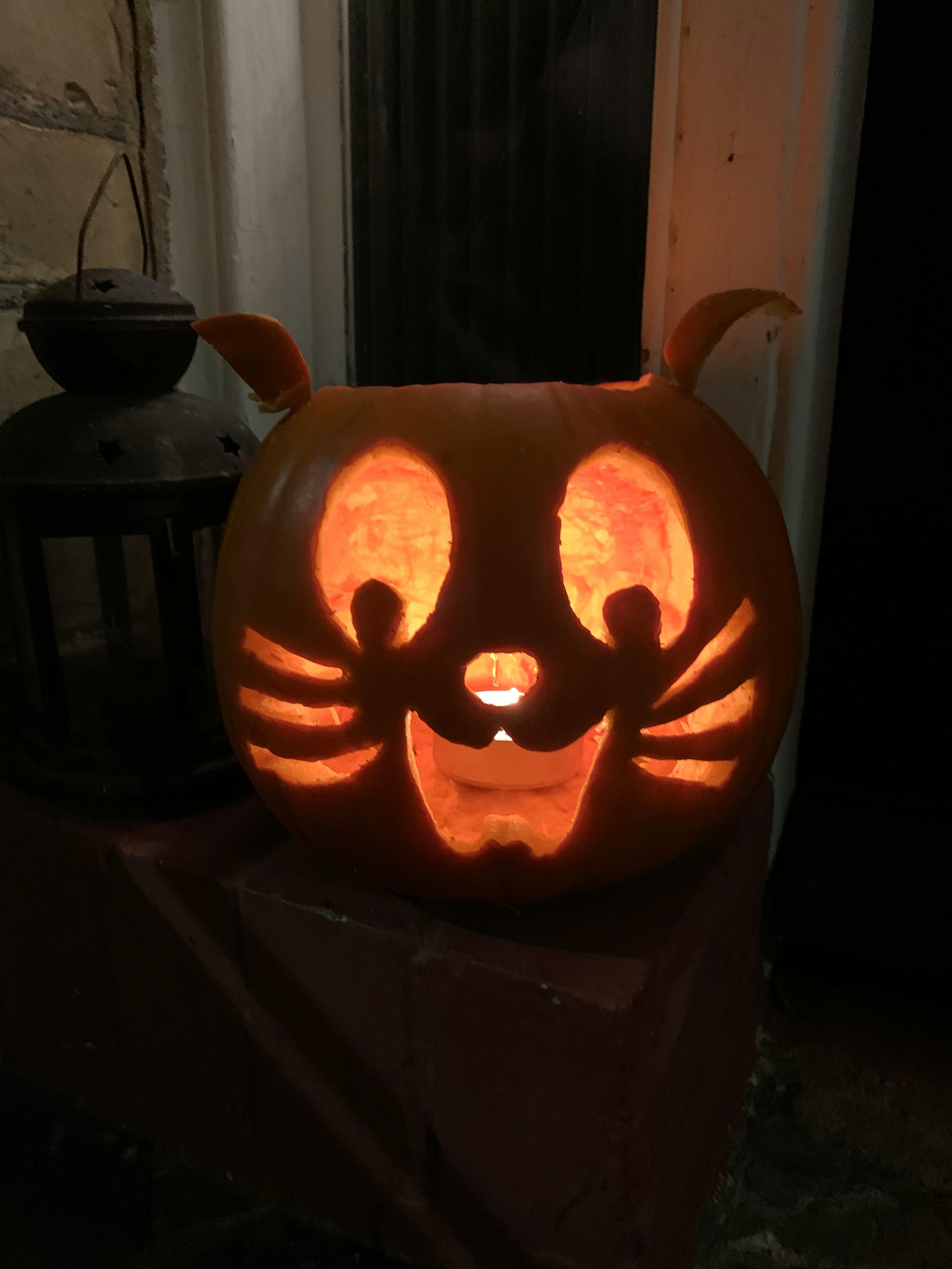 user avatar image for AB