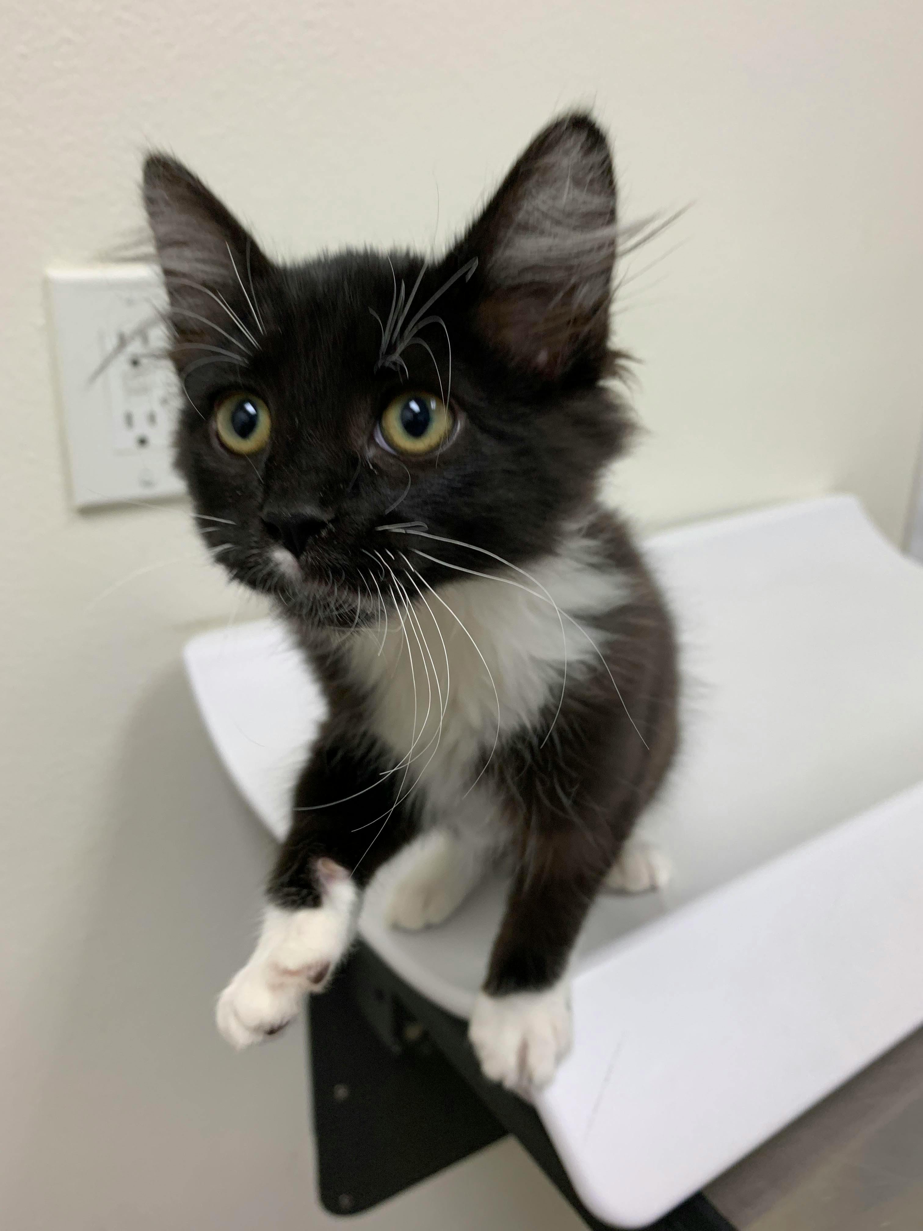 user avatar image for David Siskin