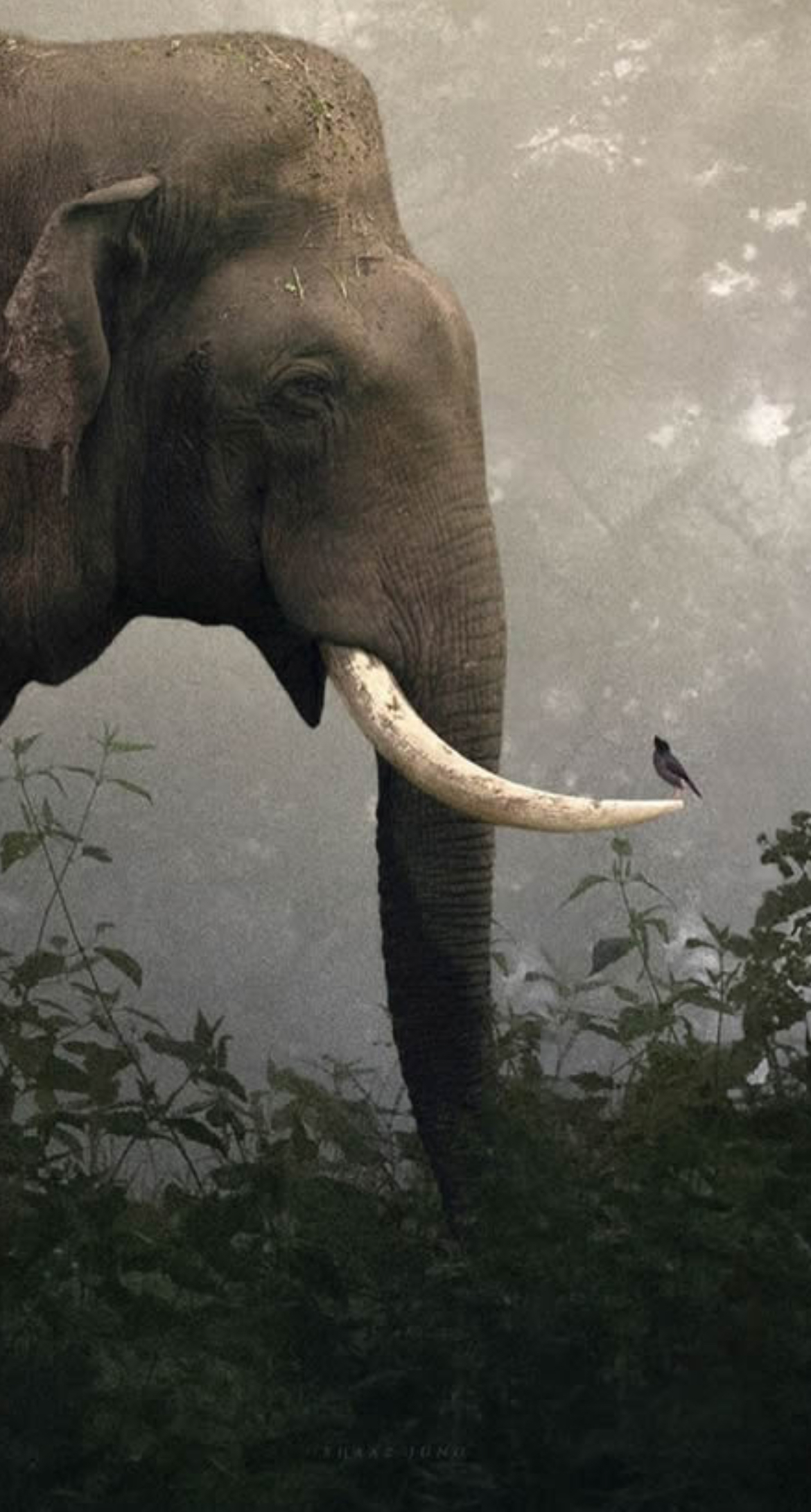 user avatar image for christopher thigpen