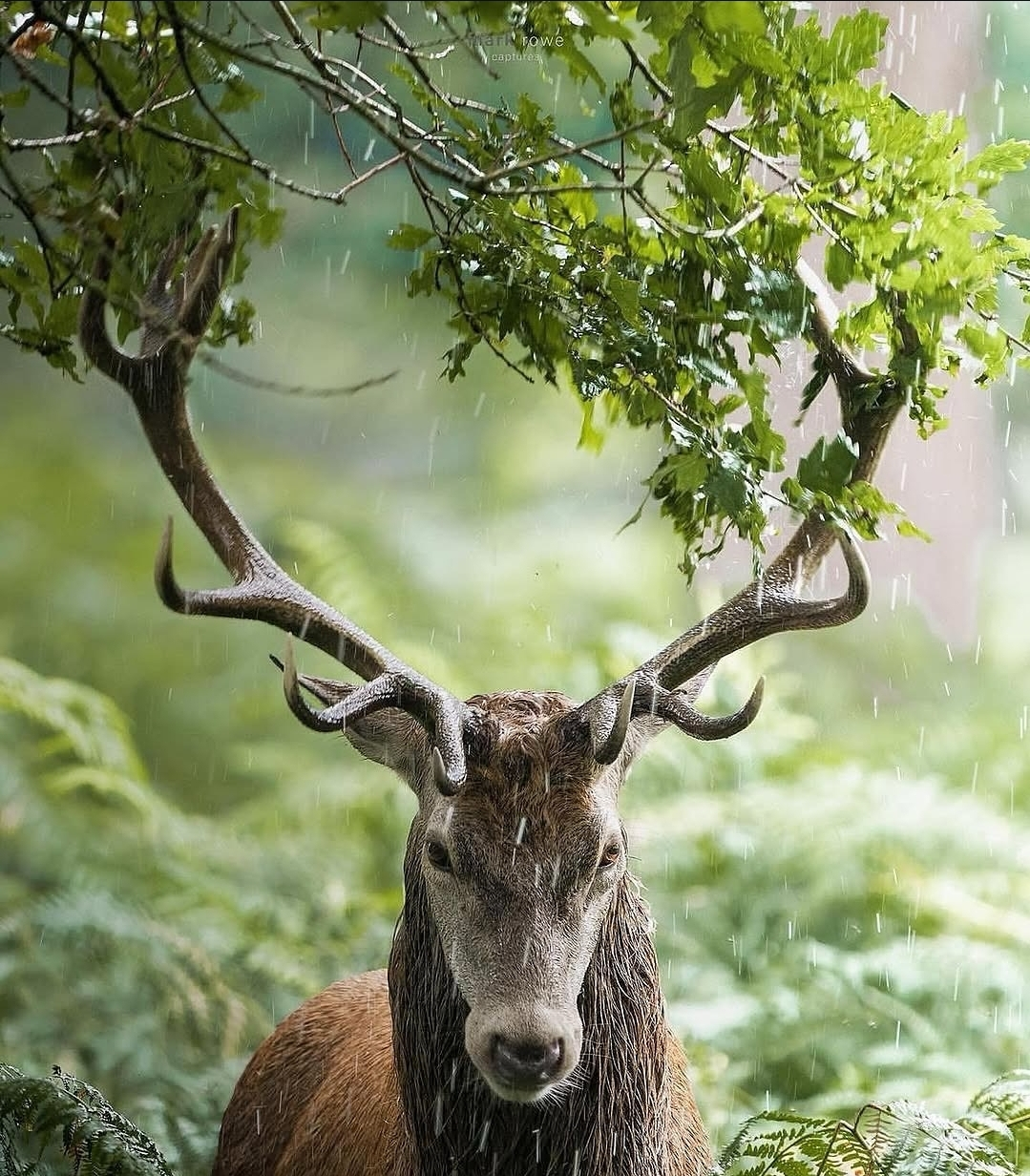 user avatar image for AleaRose144