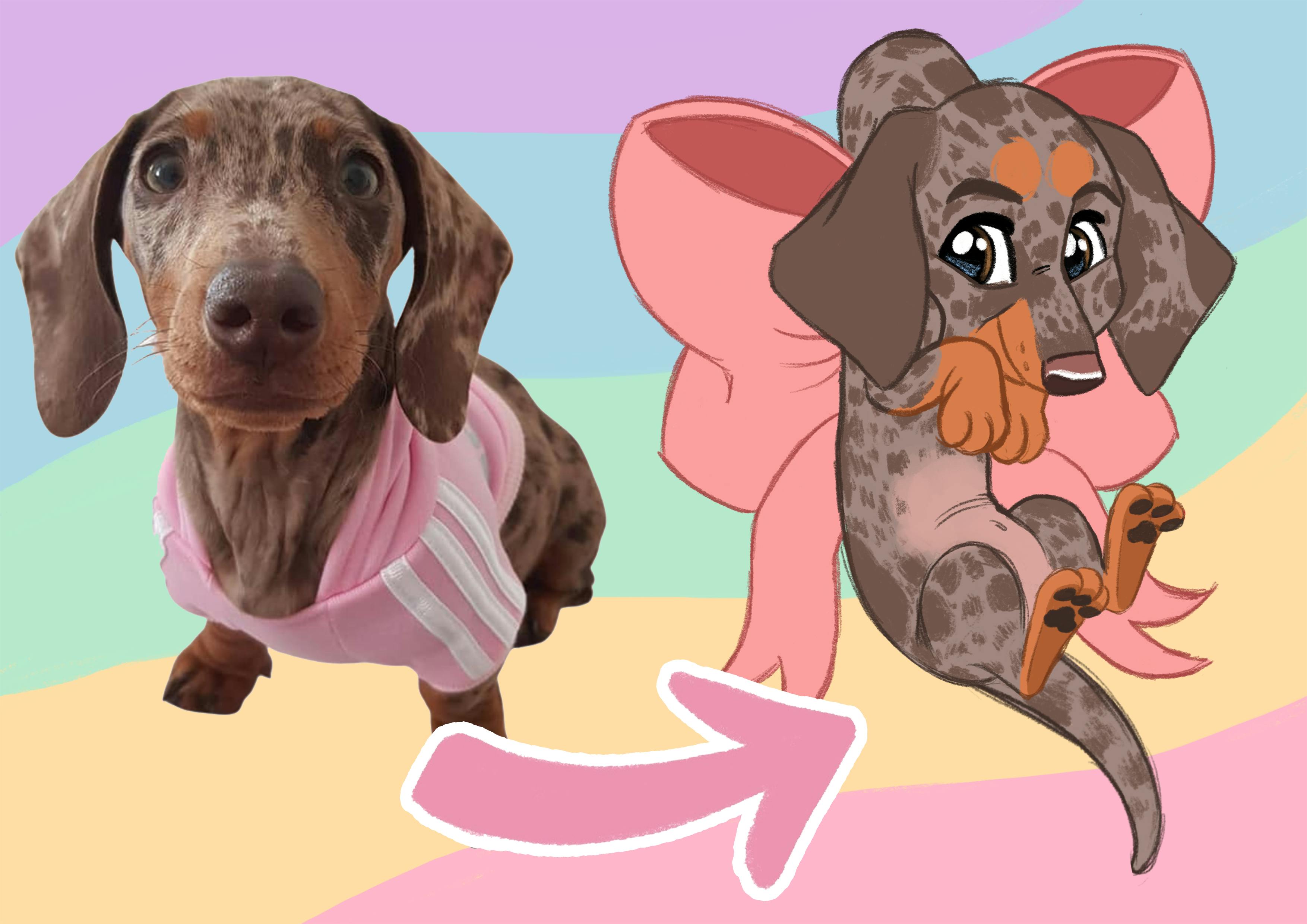 Make A Custom Scruff Puppy!