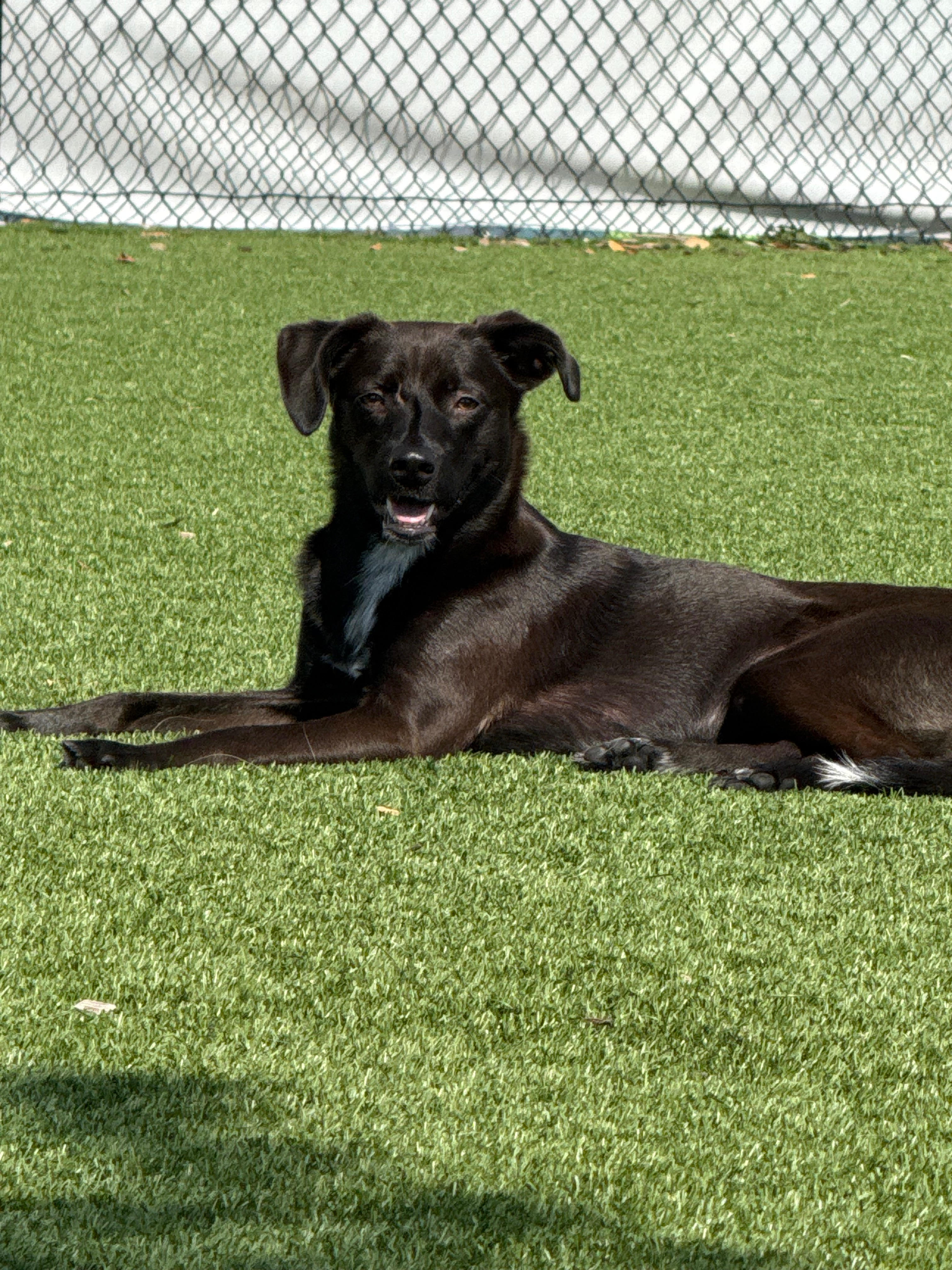 user avatar image for Rad1