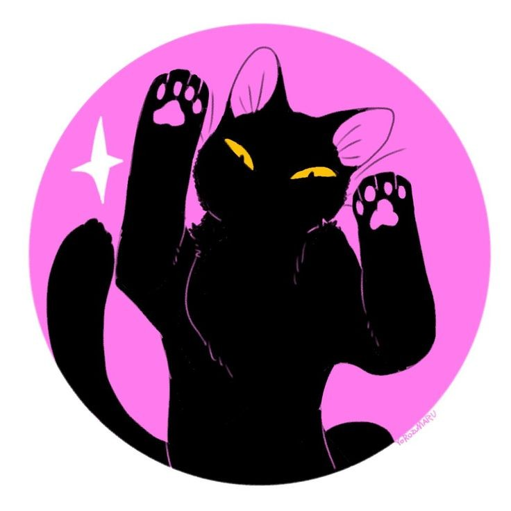 user avatar image for Mr Maruda 