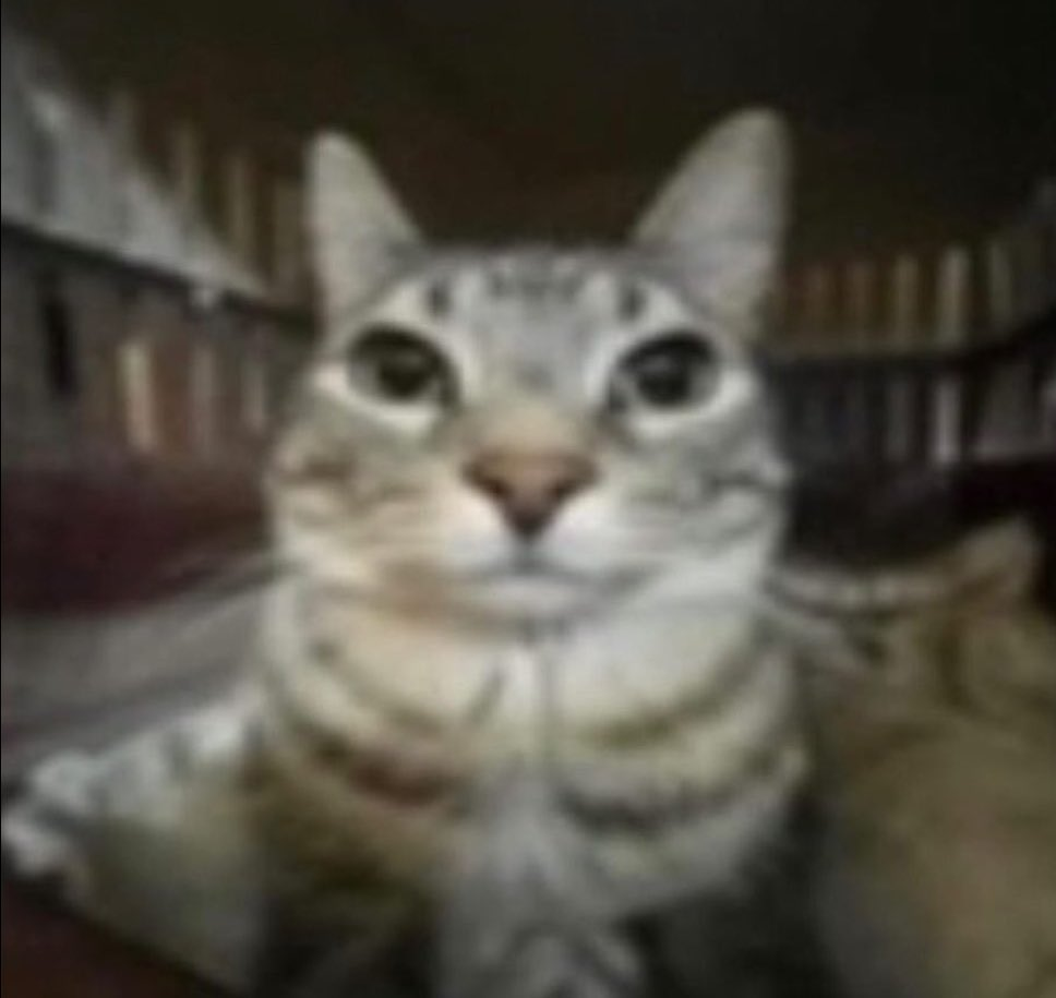 user avatar image for Joseph T Caruana 