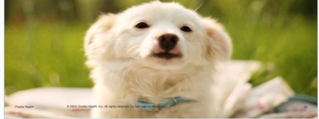 user avatar image for Emil Merz