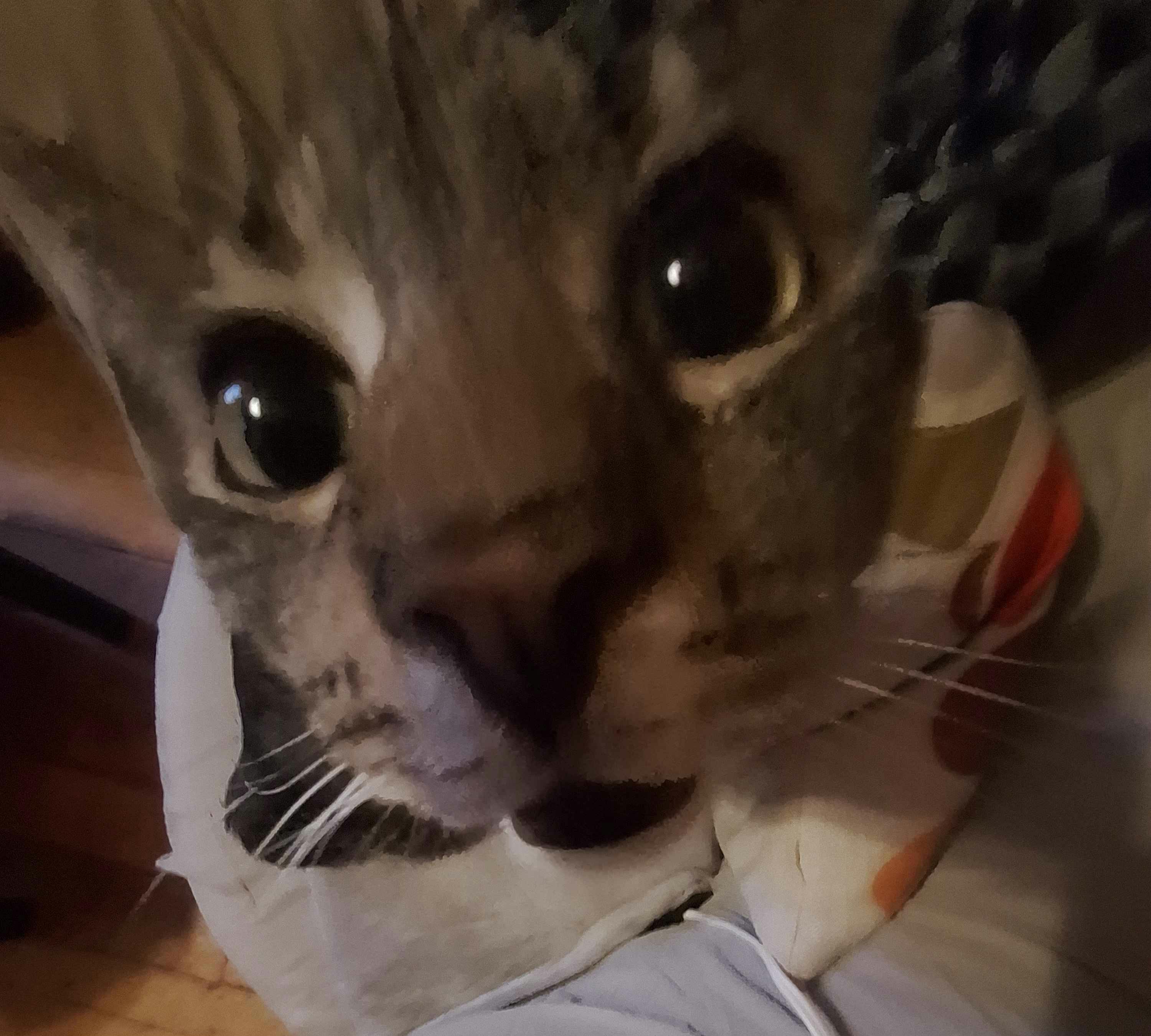 user avatar image for Basil