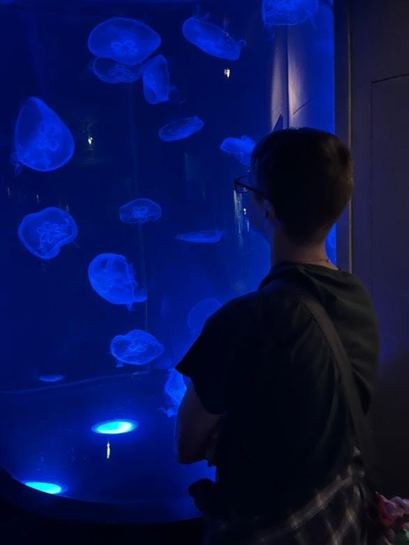 user avatar image for Sheamus