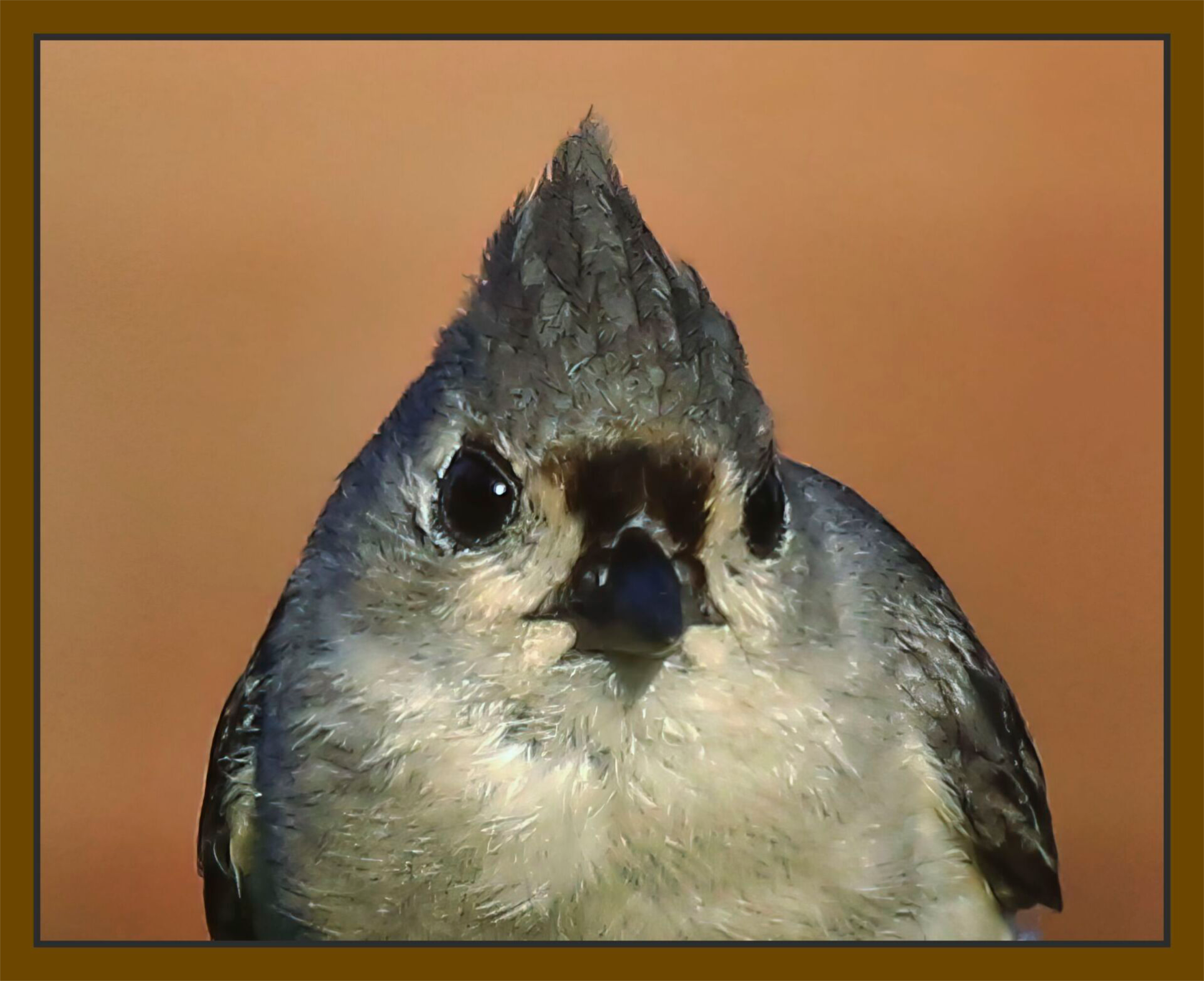 user avatar image for Fundy John