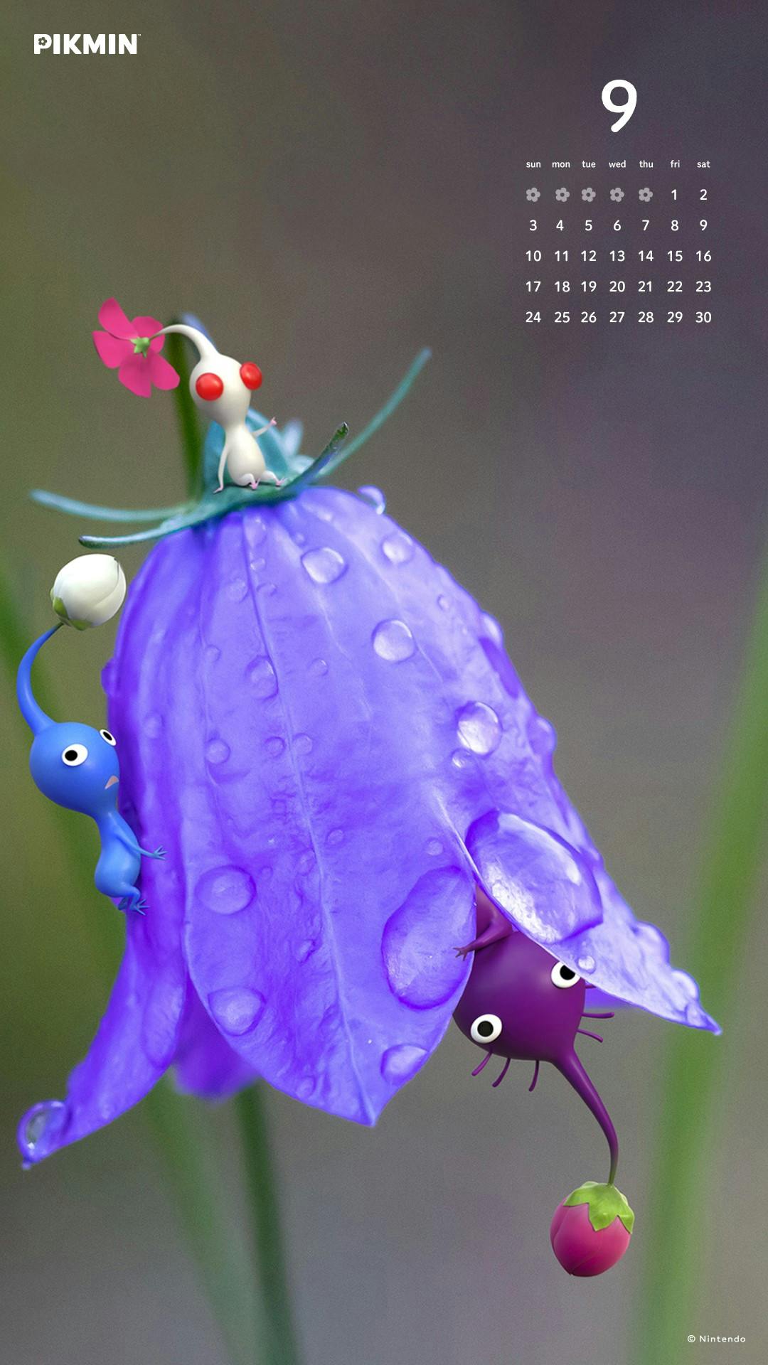 user avatar image for Janet Quillin