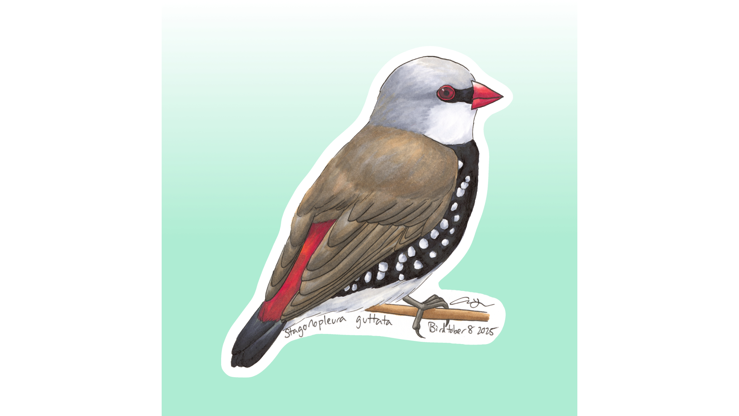Diamond Firetail Sticker Design
