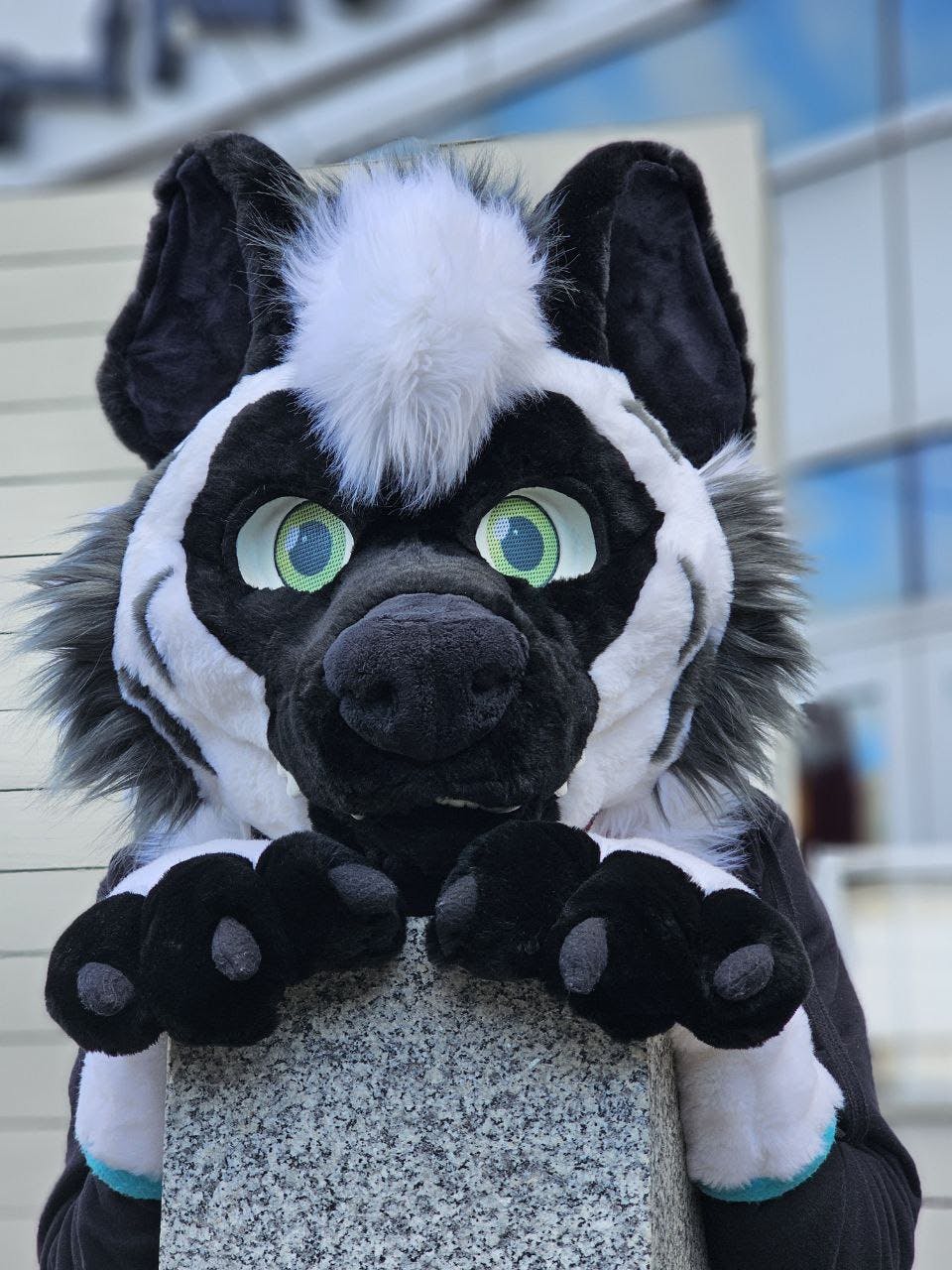 user avatar image for VerinYeen