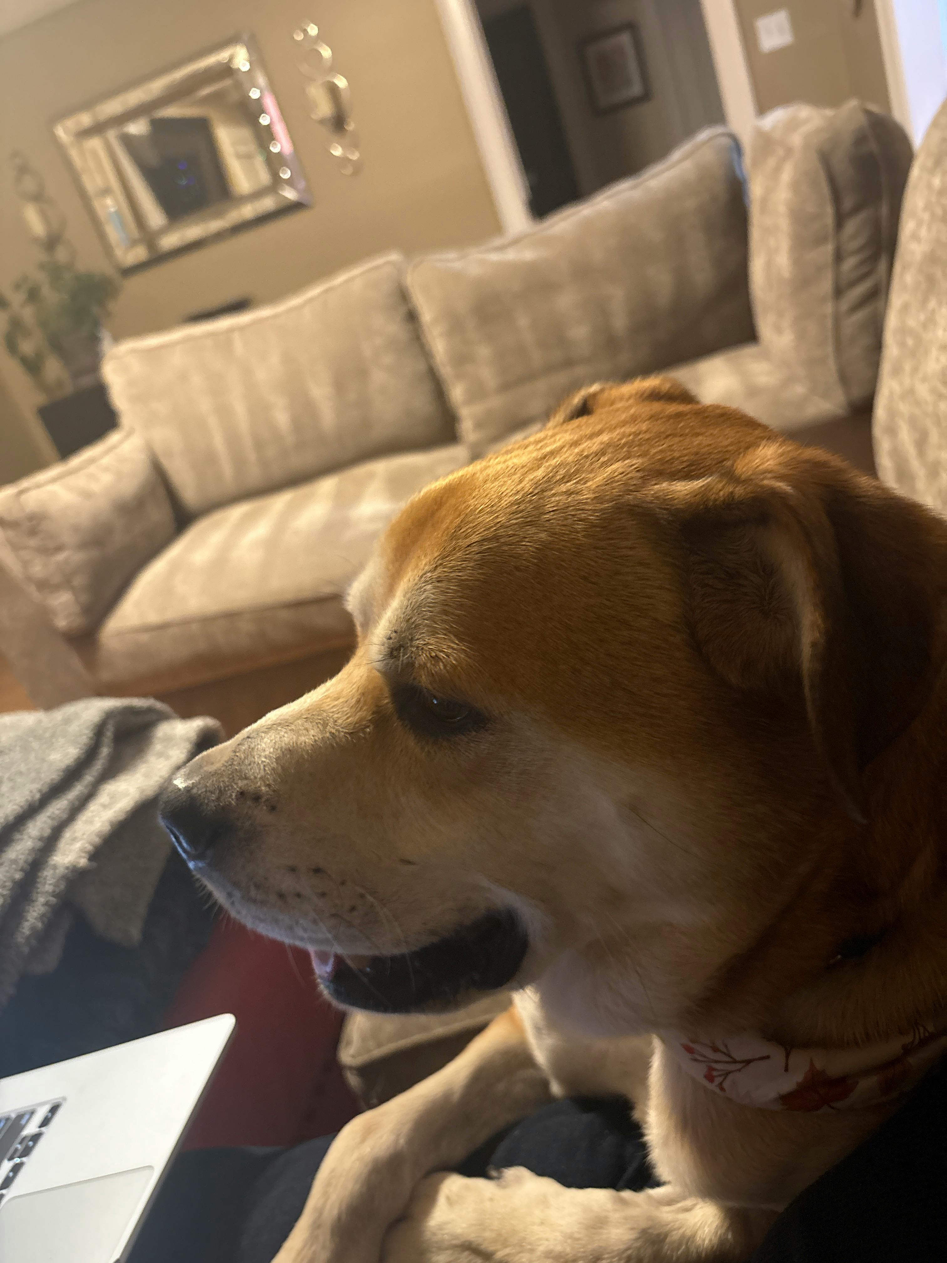 user avatar image for Jennifer C