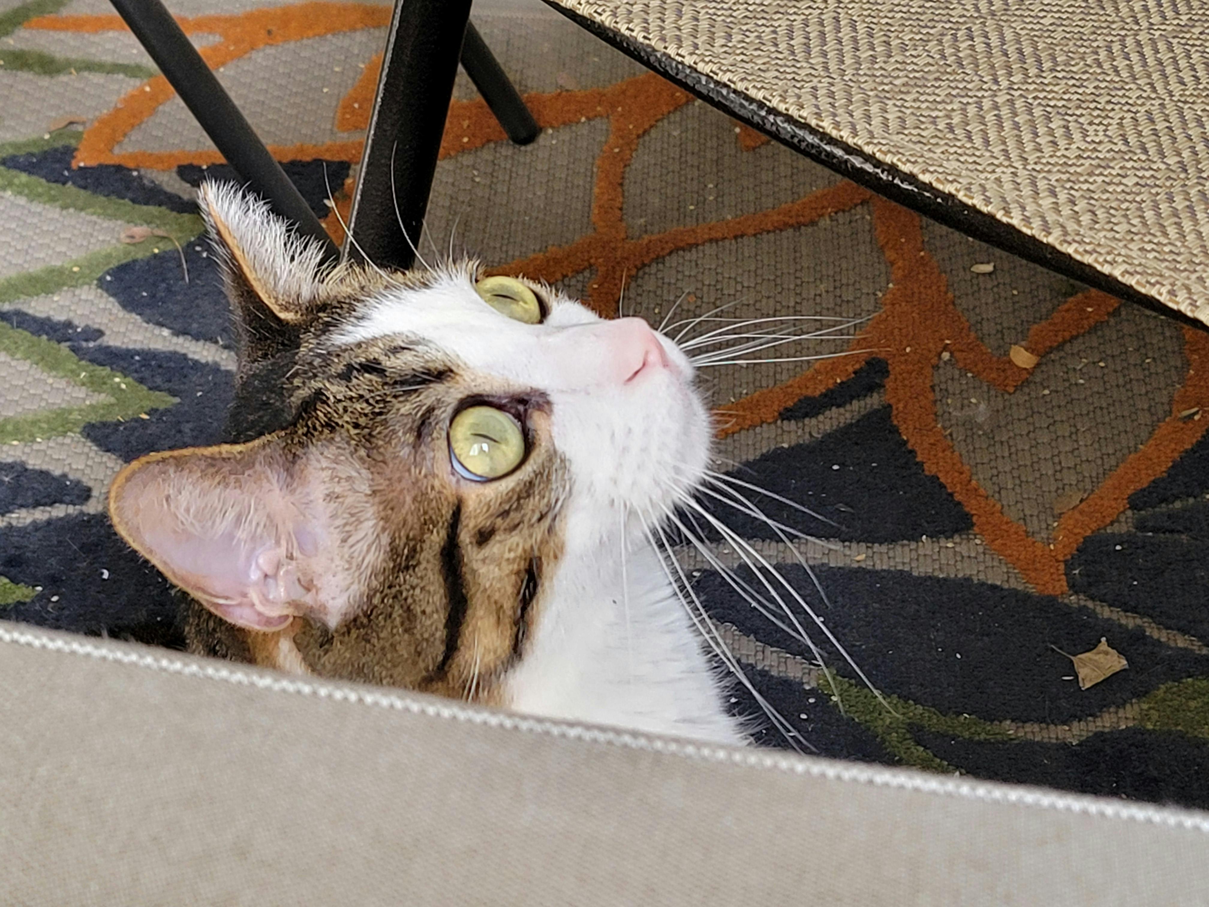 user avatar image for caeth