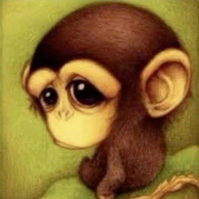 user avatar image for Abdul H