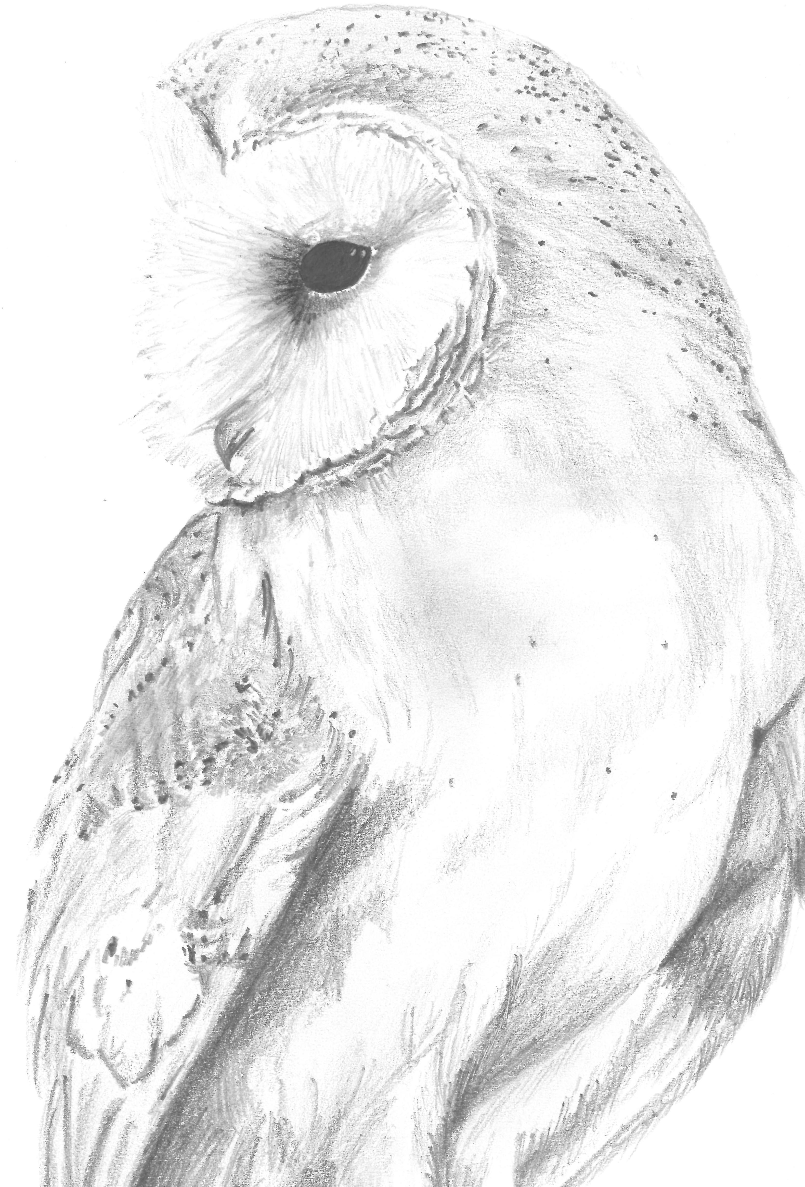 user avatar image for John Chu