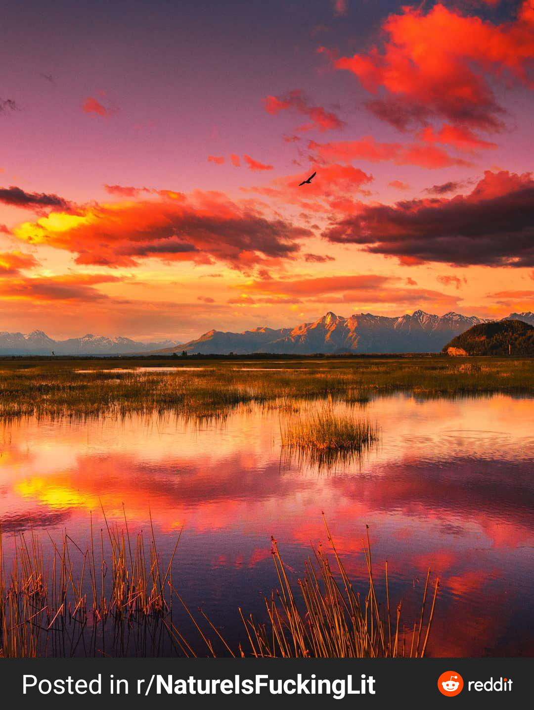 user avatar image for Mtthw