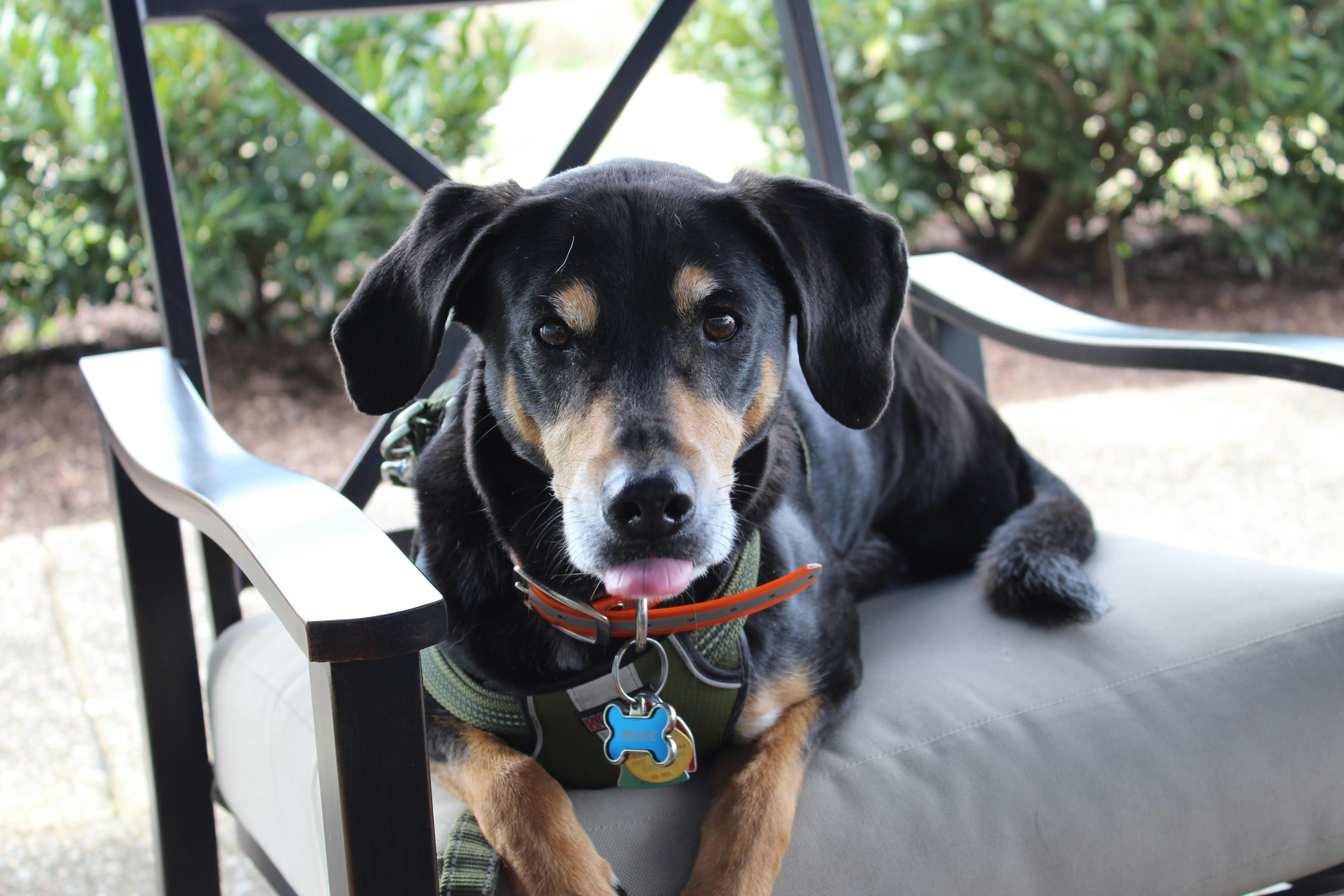 user avatar image for Caleb