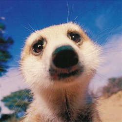 user avatar image for Lord Yens