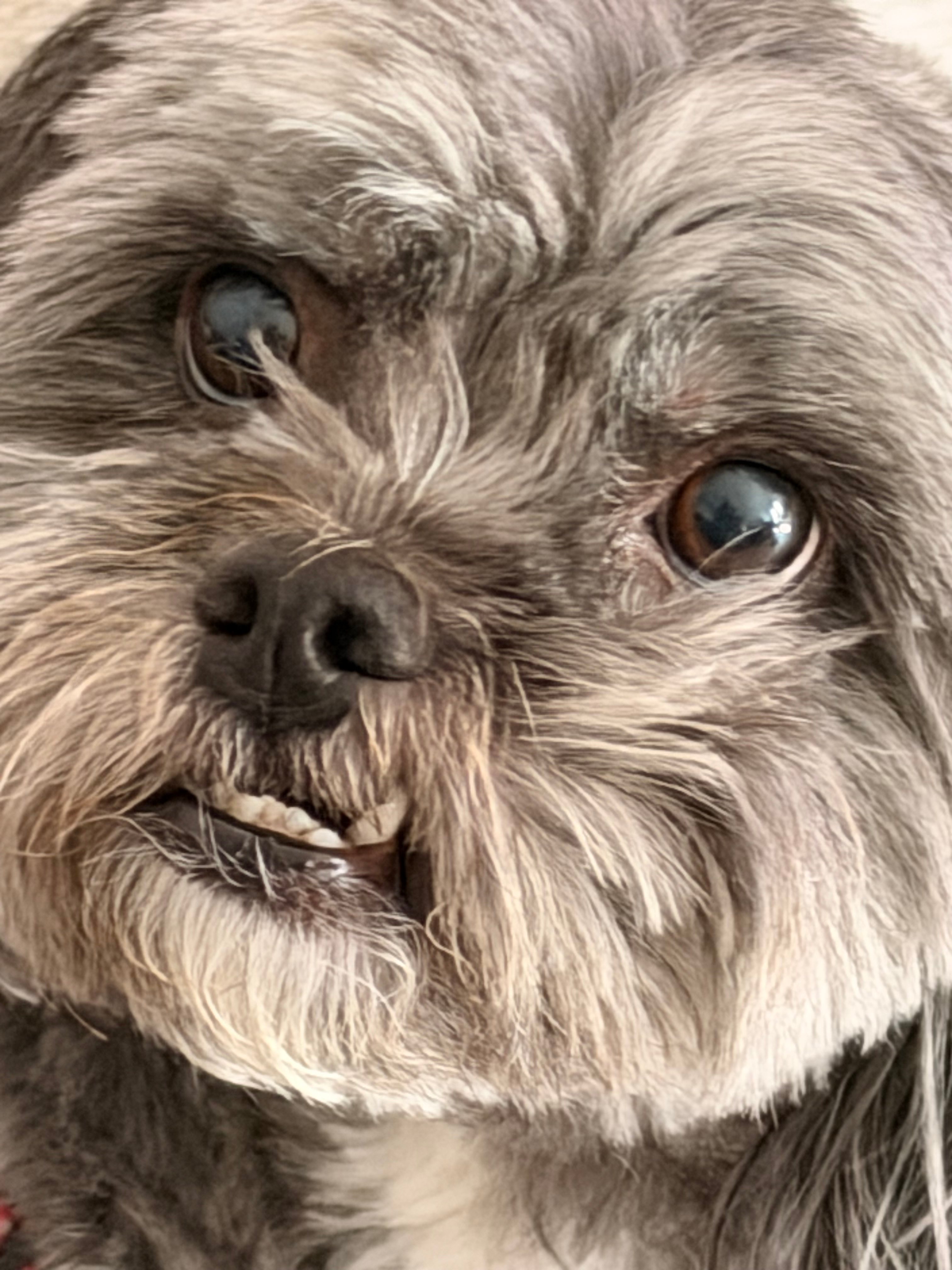 user avatar image for Brett