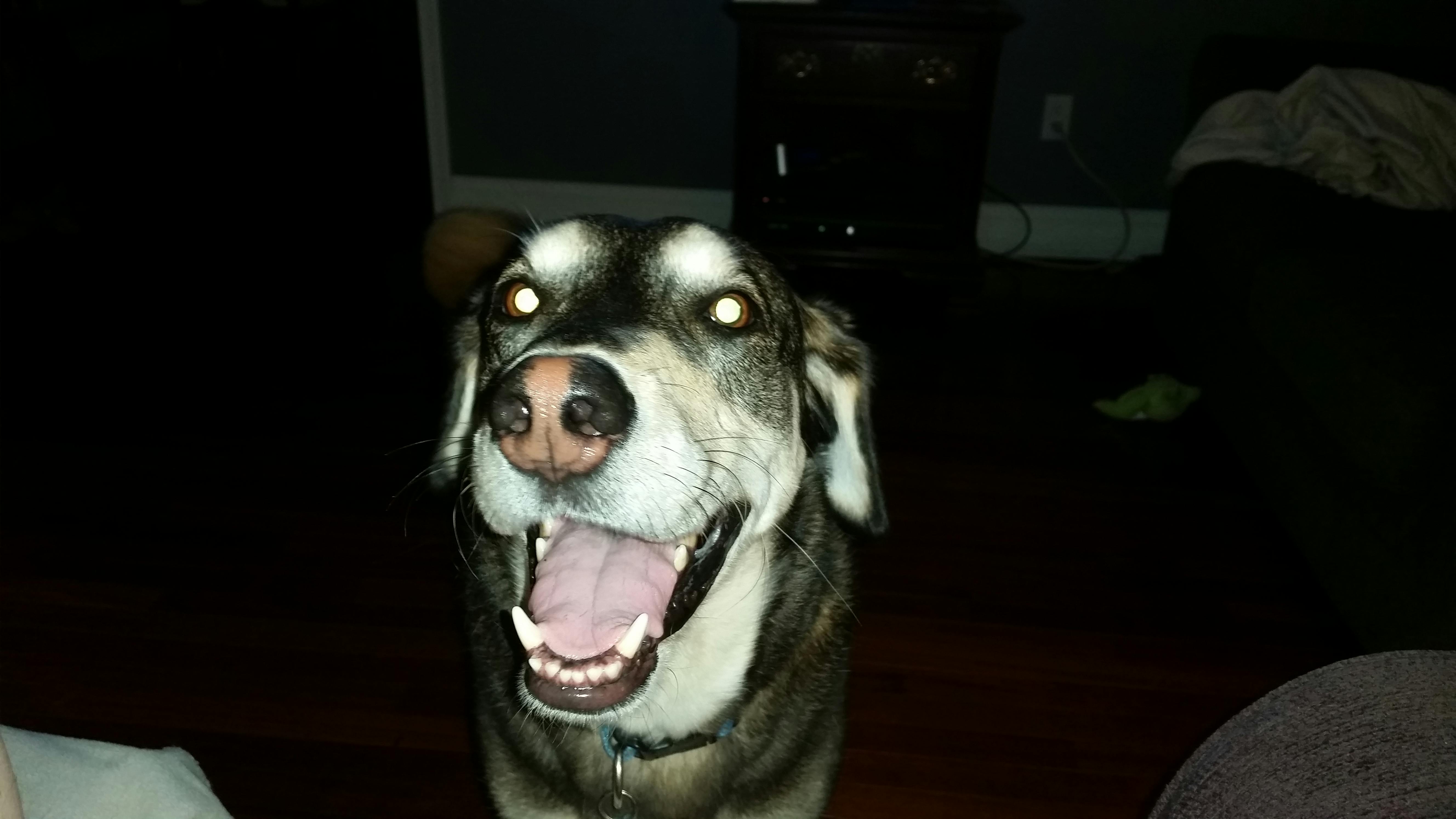 user avatar image for Joe H