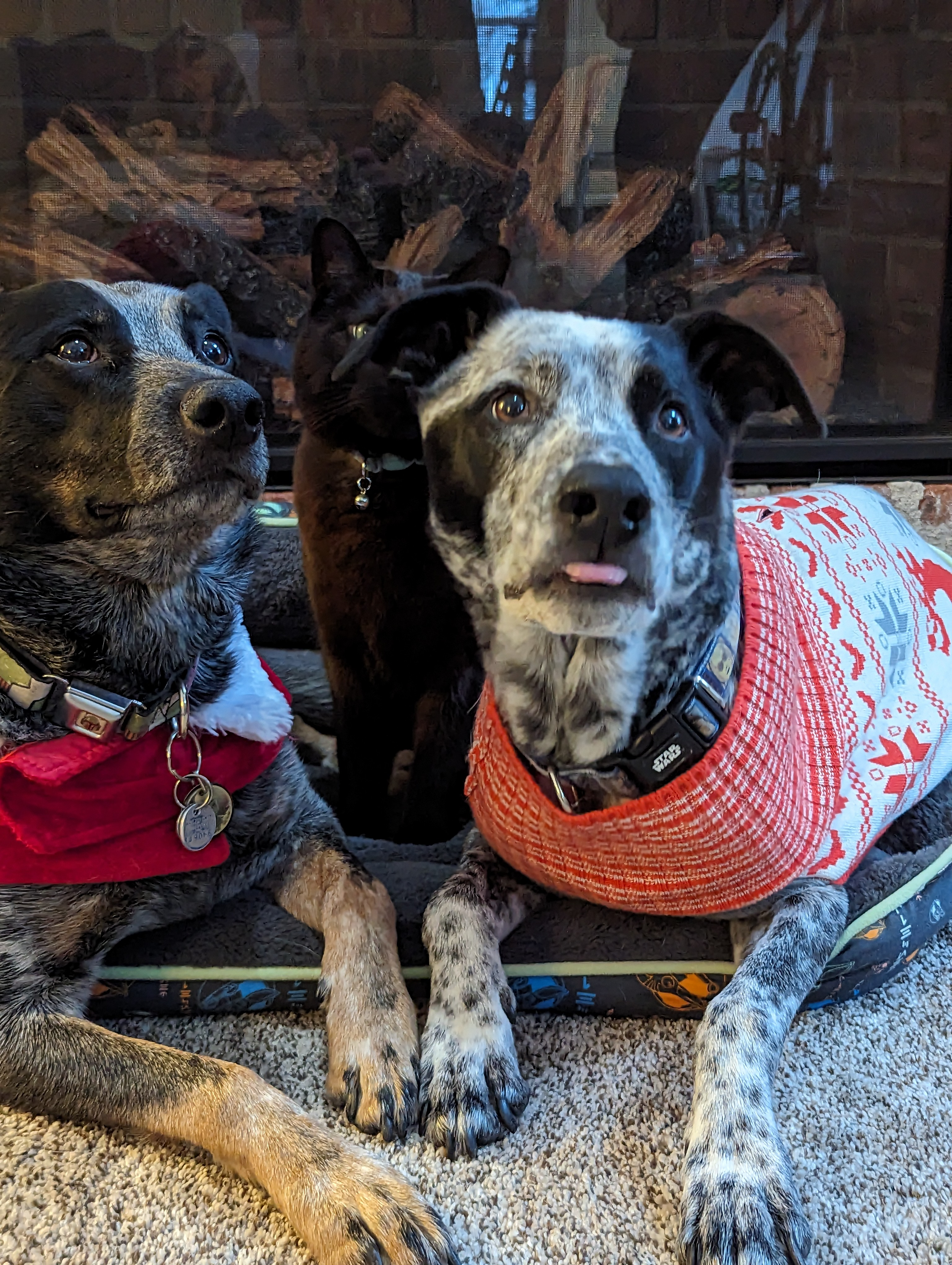 user avatar image for HunterofMonks