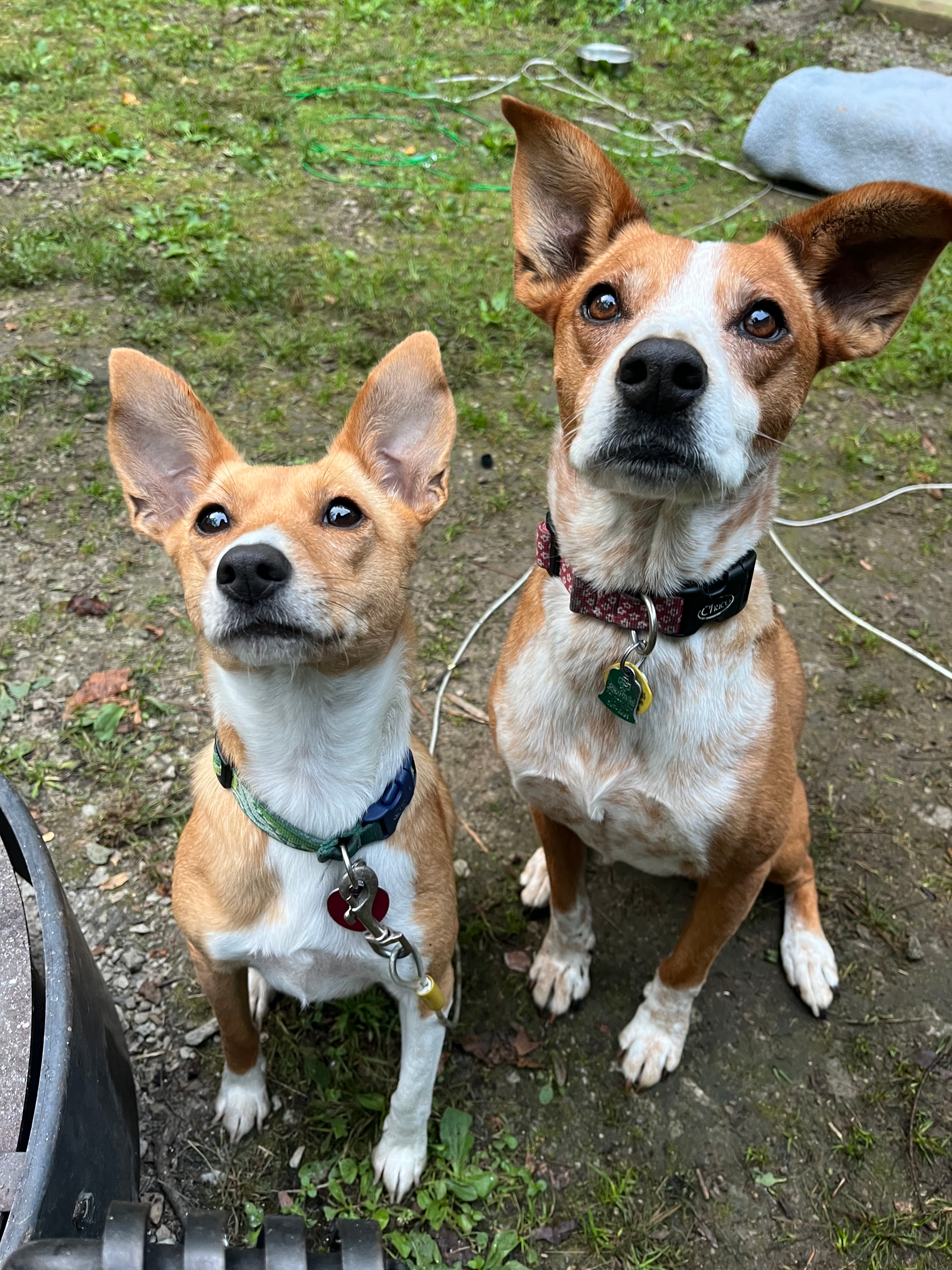 user avatar image for Emily