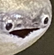 user avatar image for PBYukiOnna