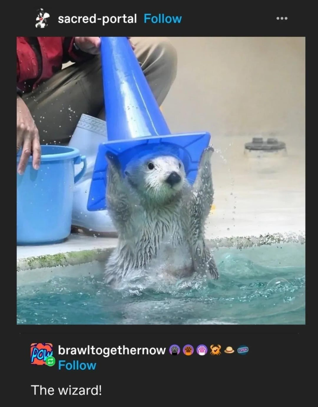 user avatar image for spike4972