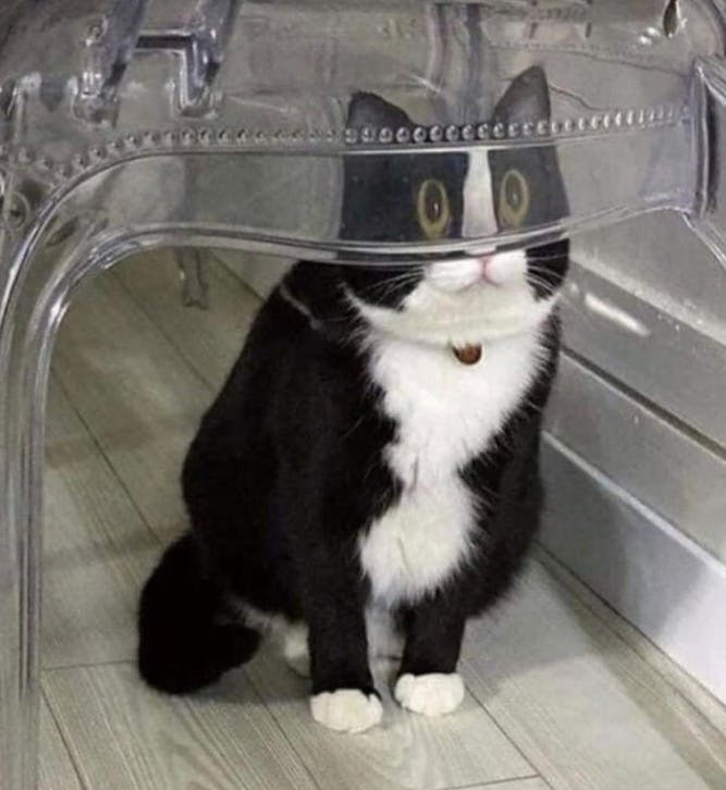 user avatar image for Ryteck