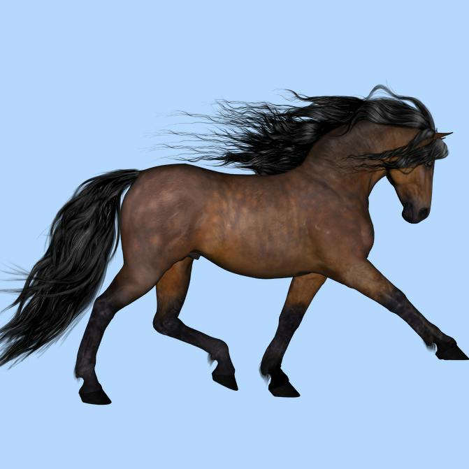 user avatar image for Sarah Williams