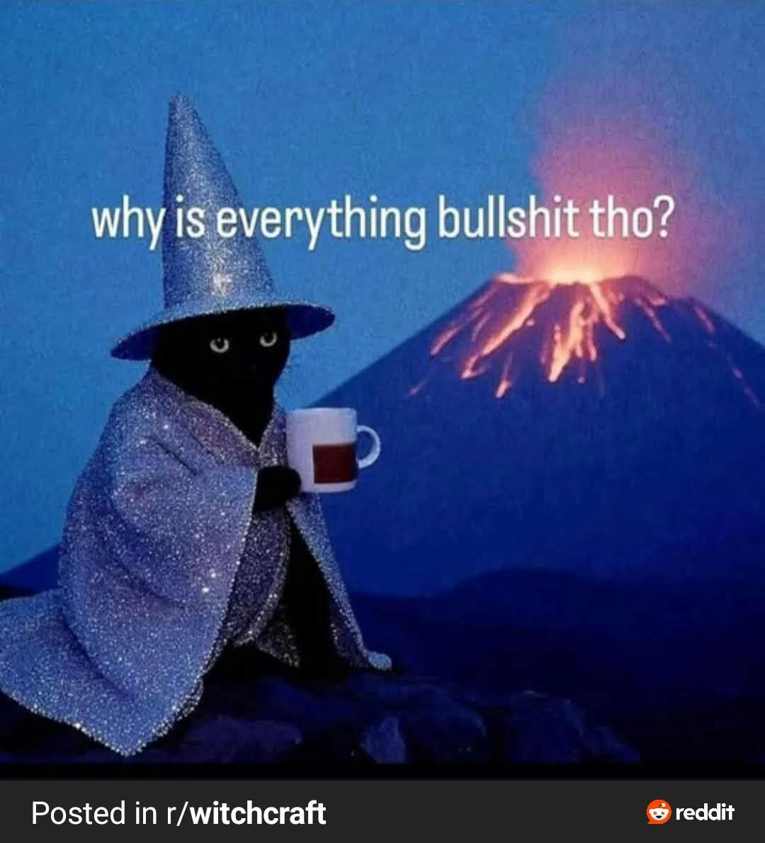 user avatar image for Auro