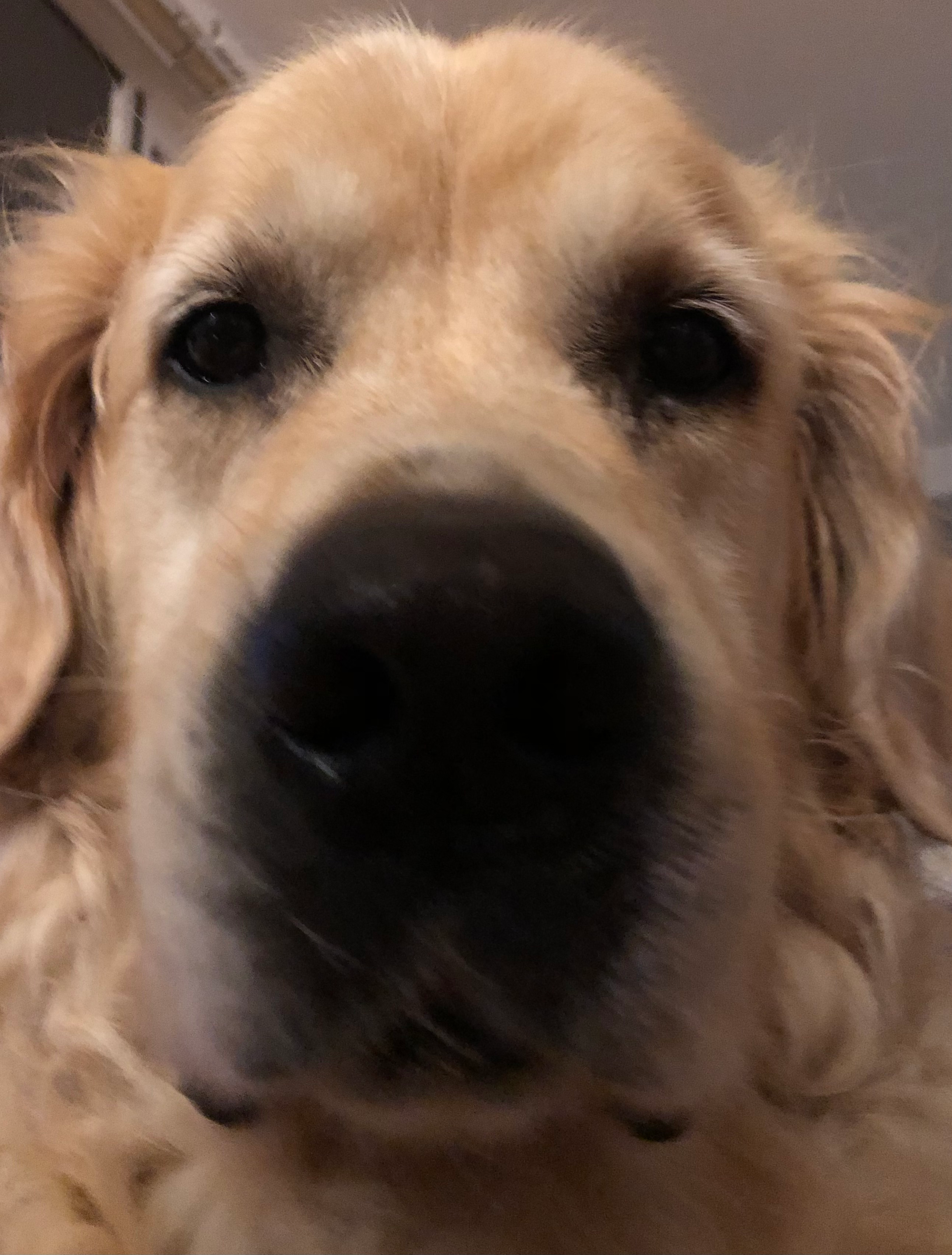 user avatar image for Lucy