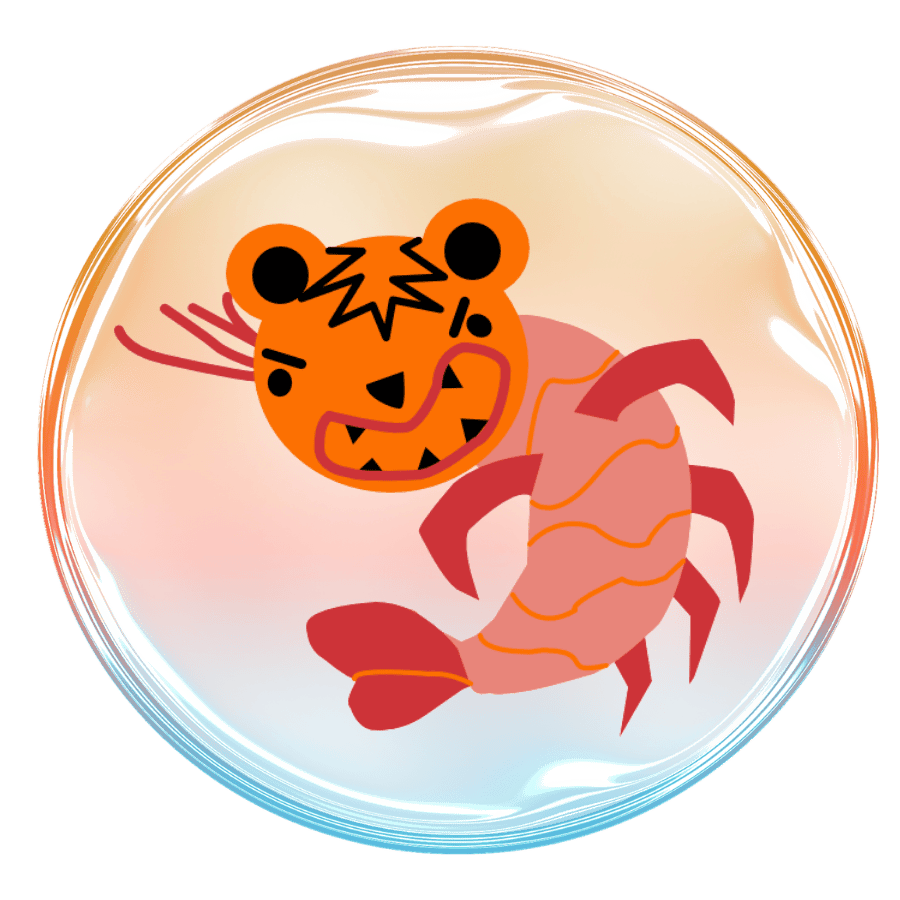 Tiger Shrimp 🐅 + 🦐