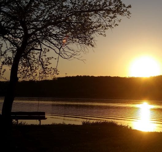 user avatar image for Rennie