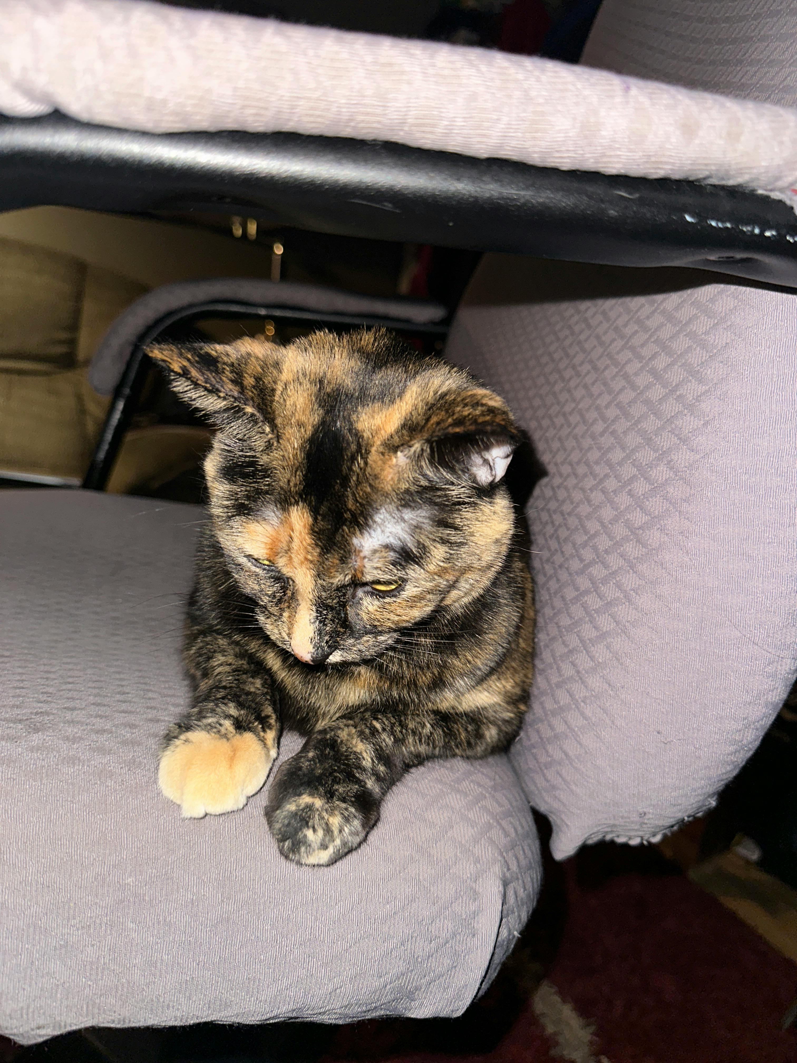 user avatar image for thefreezebreeze