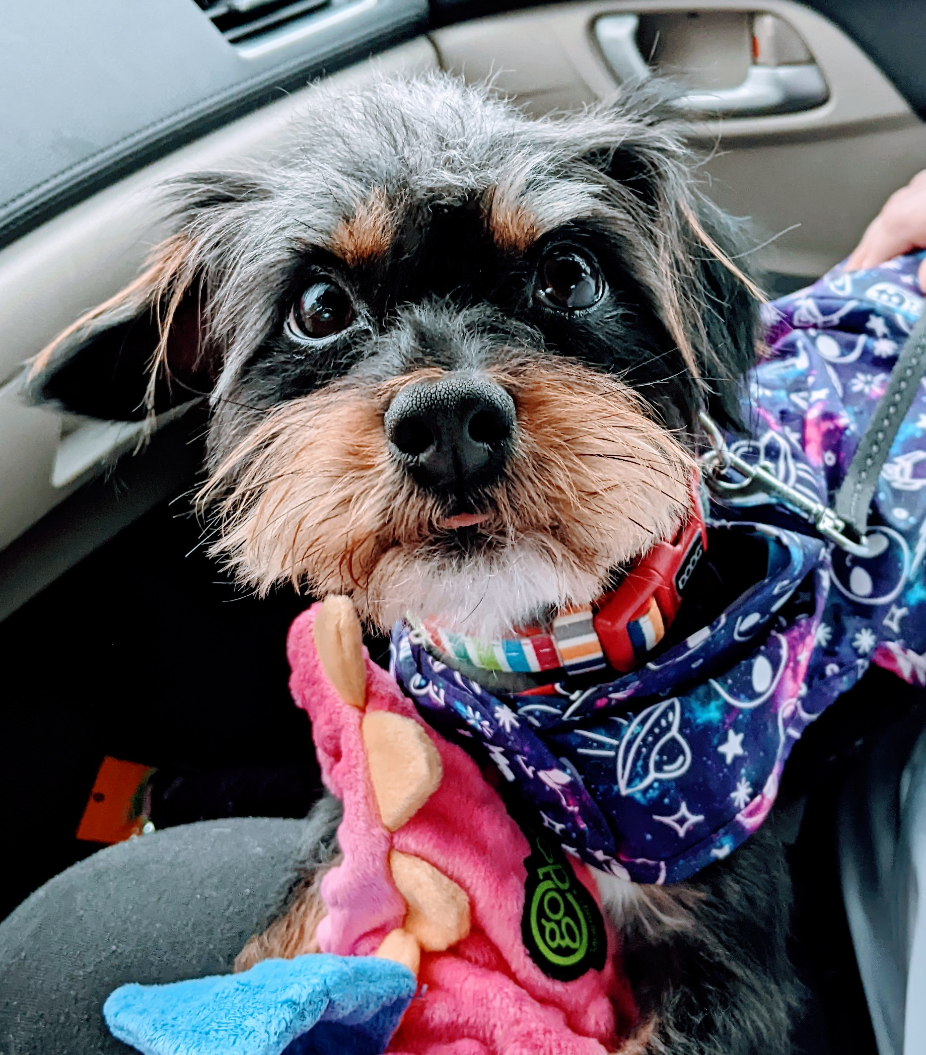 user avatar image for Kristie