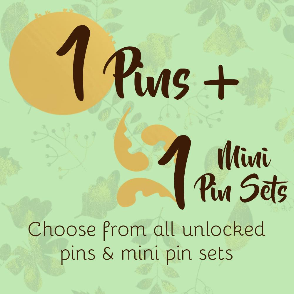 1x Pins & 1x Mini Pin sets - One favorite seasons and mini’s