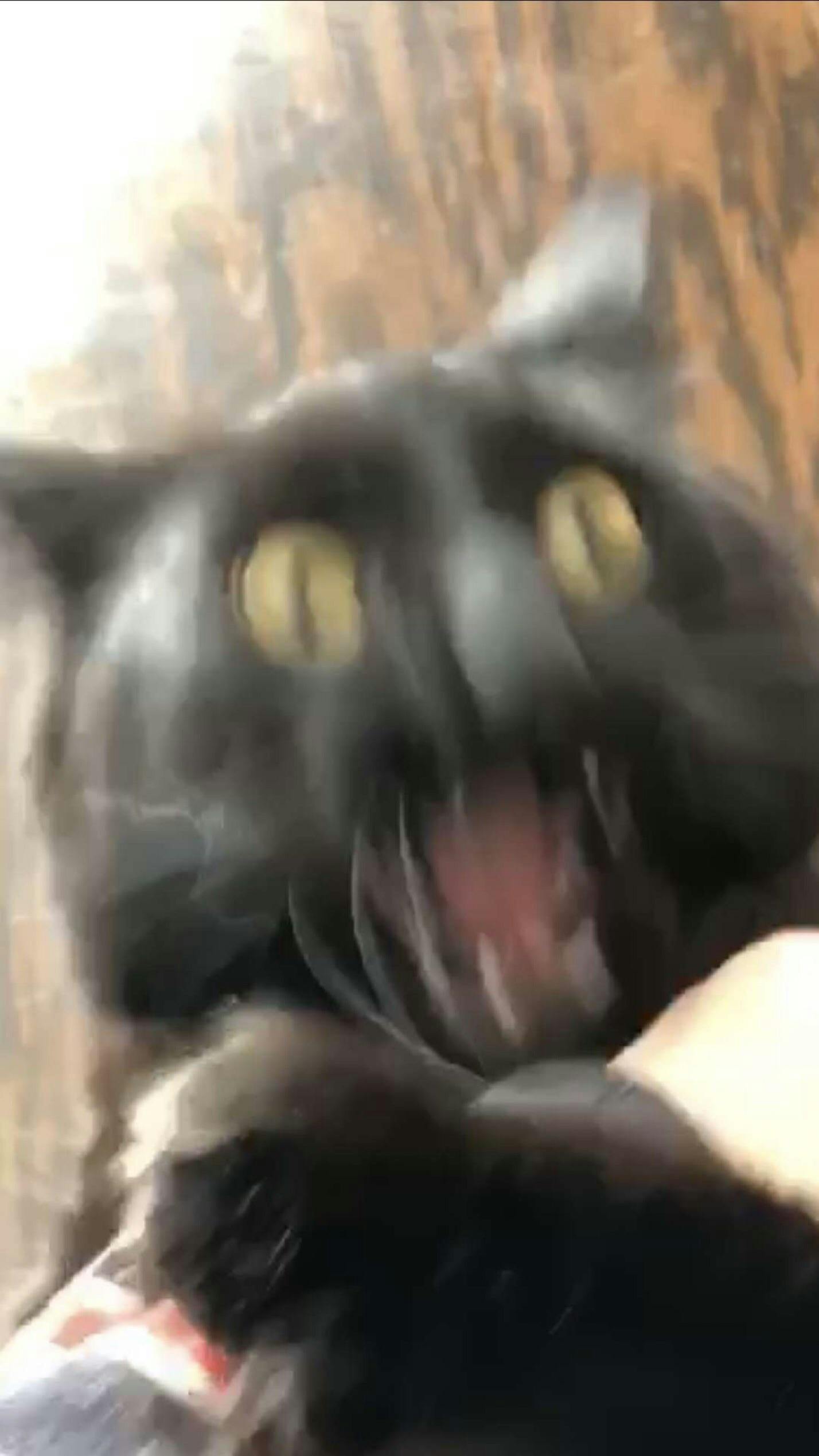 user avatar image for Leah