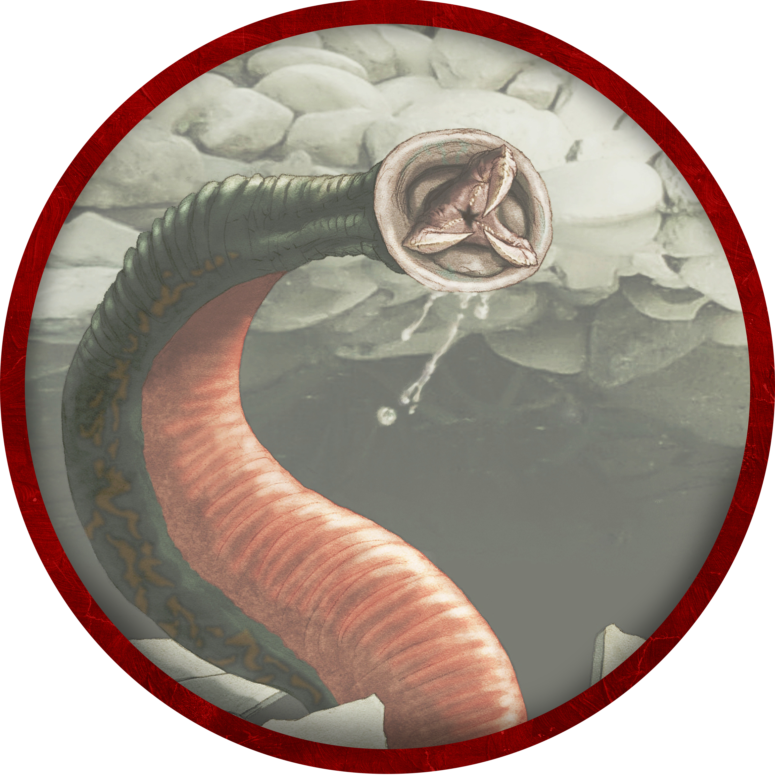 user avatar image for Dj O'Farrell